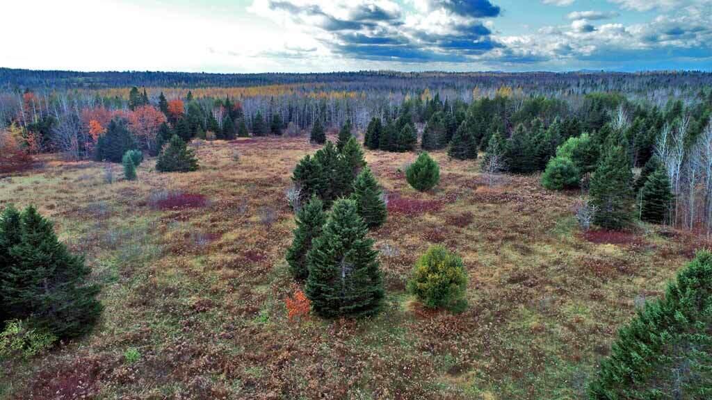 Lot 18 Us Rt 2 Highway Property Photo 32