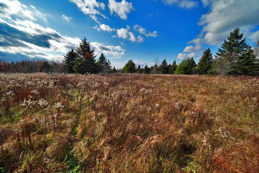 Lot 18 Us Rt 2 Highway Property Photo 33