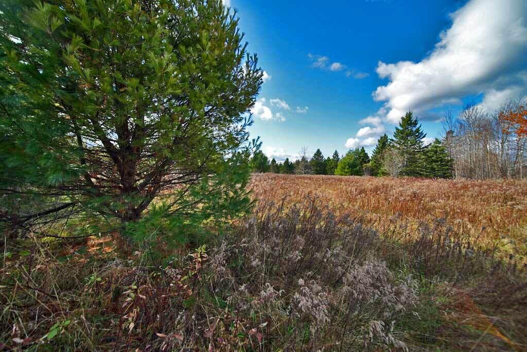 Lot 18 Us Rt 2 Highway Property Photo 35