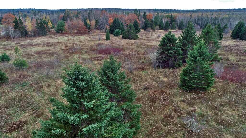 Lot 18 Us Rt 2 Highway Property Photo 38