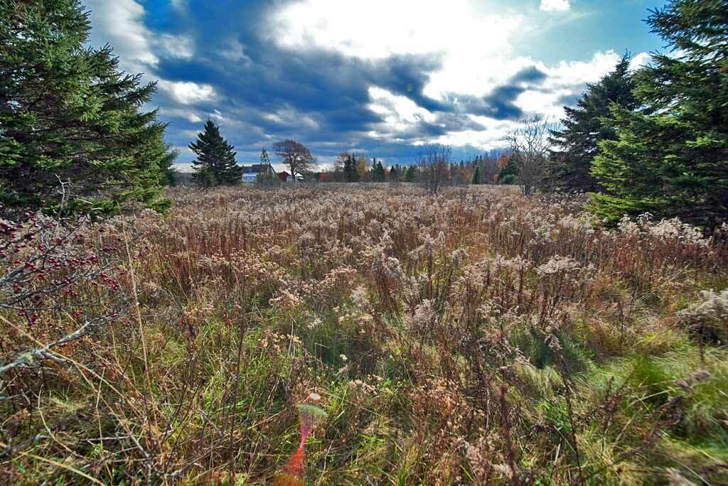 Lot 18 Us Rt 2 Highway Property Photo 39
