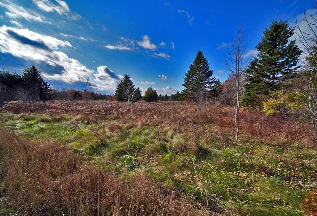 Lot 18 Us Rt 2 Highway Property Photo 41