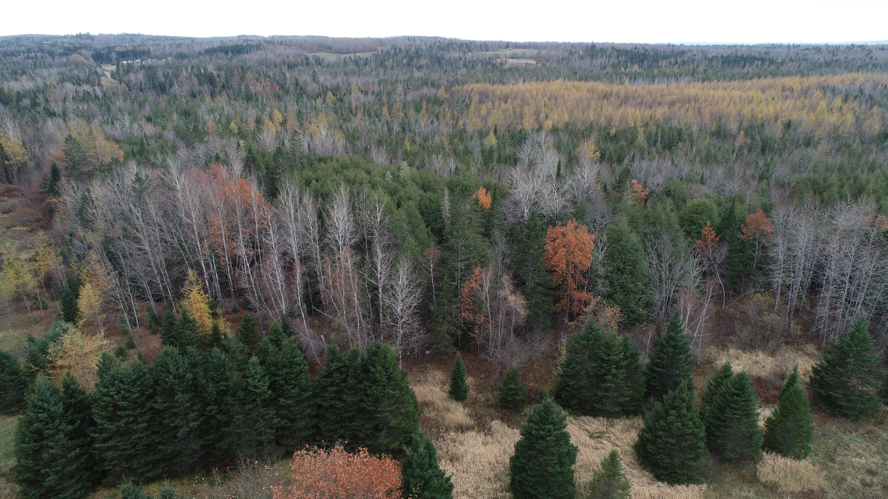 Lot 18 Us Rt 2 Highway Property Photo 45