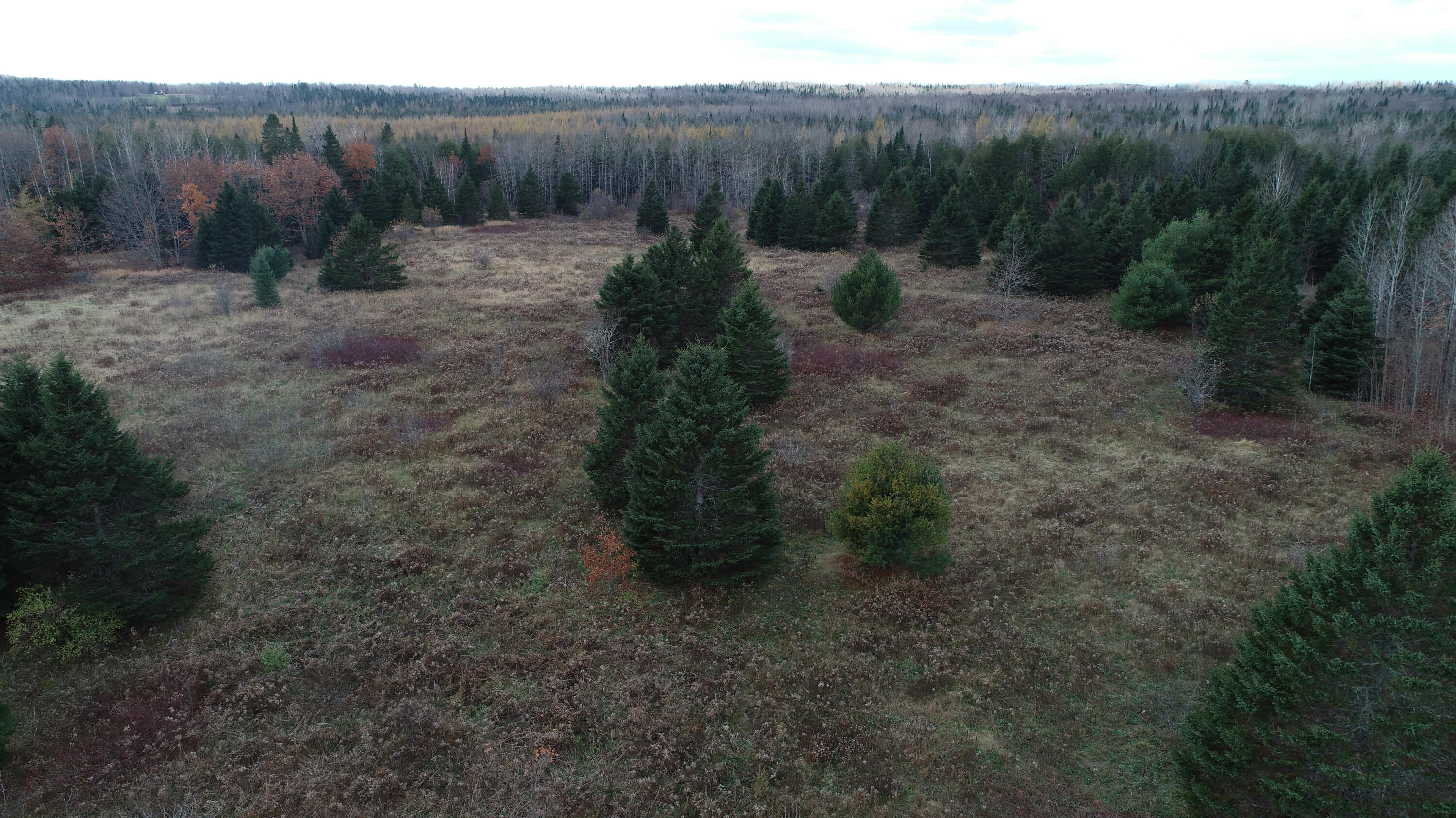 Lot 18 Us Rt 2 Highway Property Photo 48