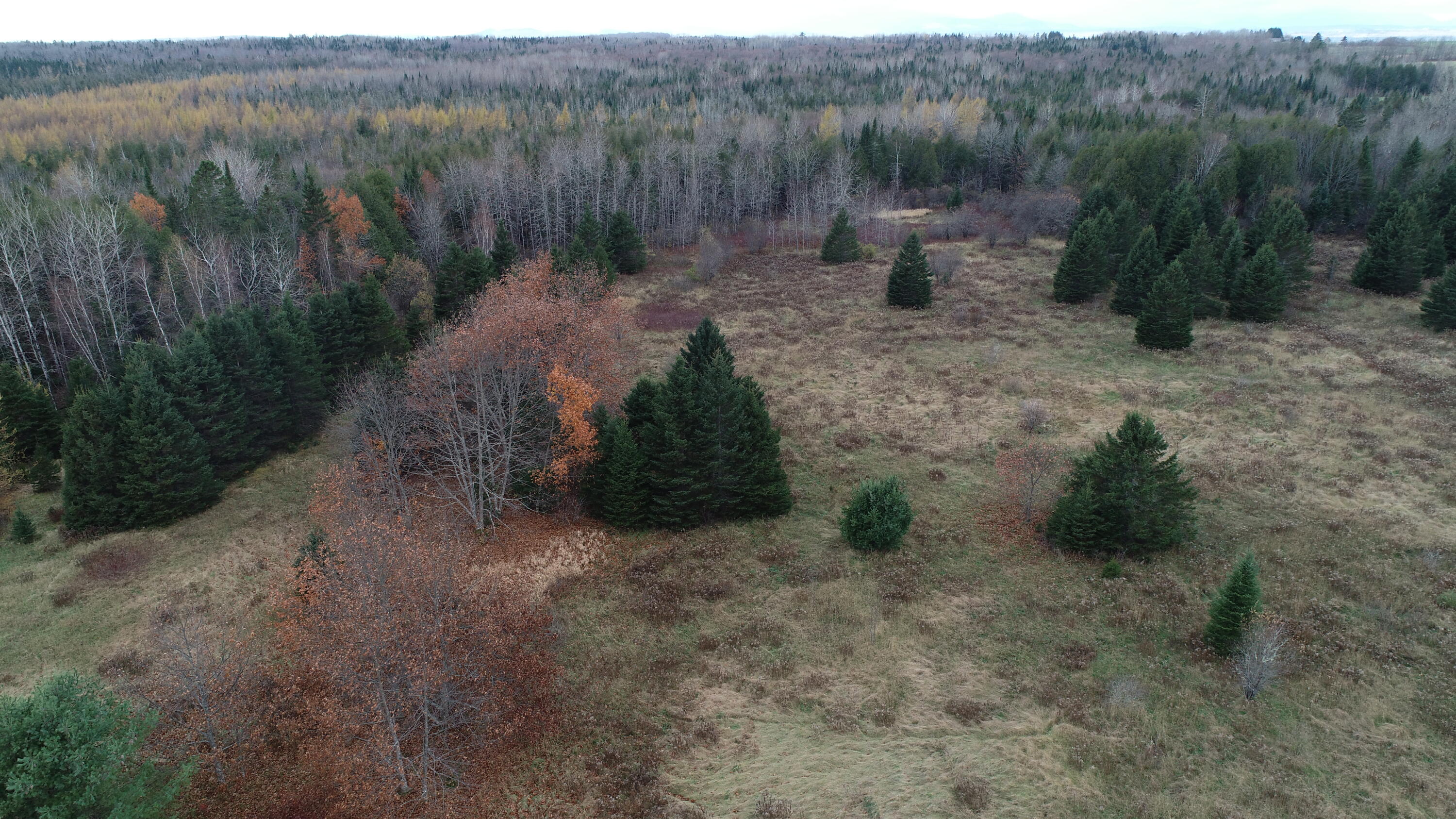 Lot 18 Us Rt 2 Highway Property Photo 51