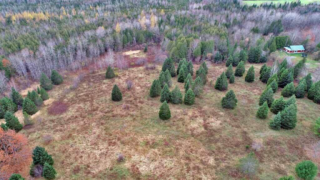 Lot 18 Us Rt 2 Highway Property Photo 55