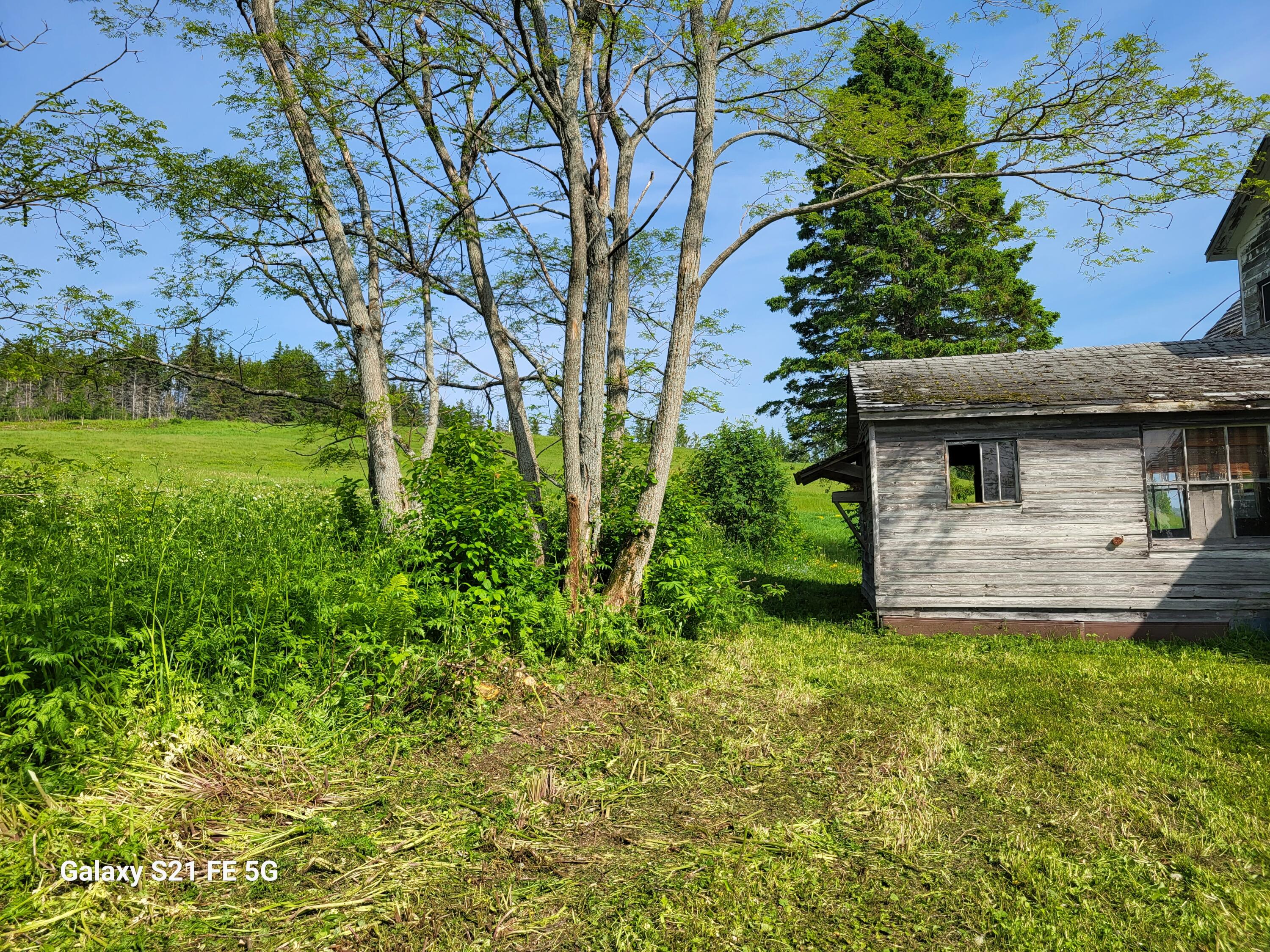 147 Lake Road Property Photo 28
