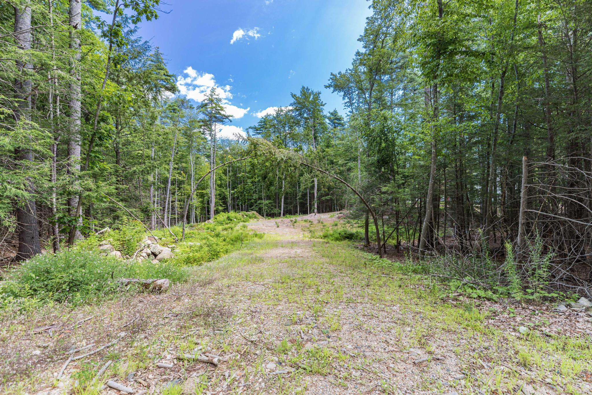 Lot 1 Brixham (stonecrop Farm Lot 1) Road Property Photo 6