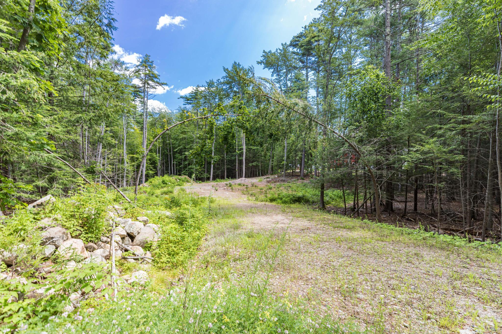 Lot 1 Brixham (stonecrop Farm Lot 1) Road Property Photo 7