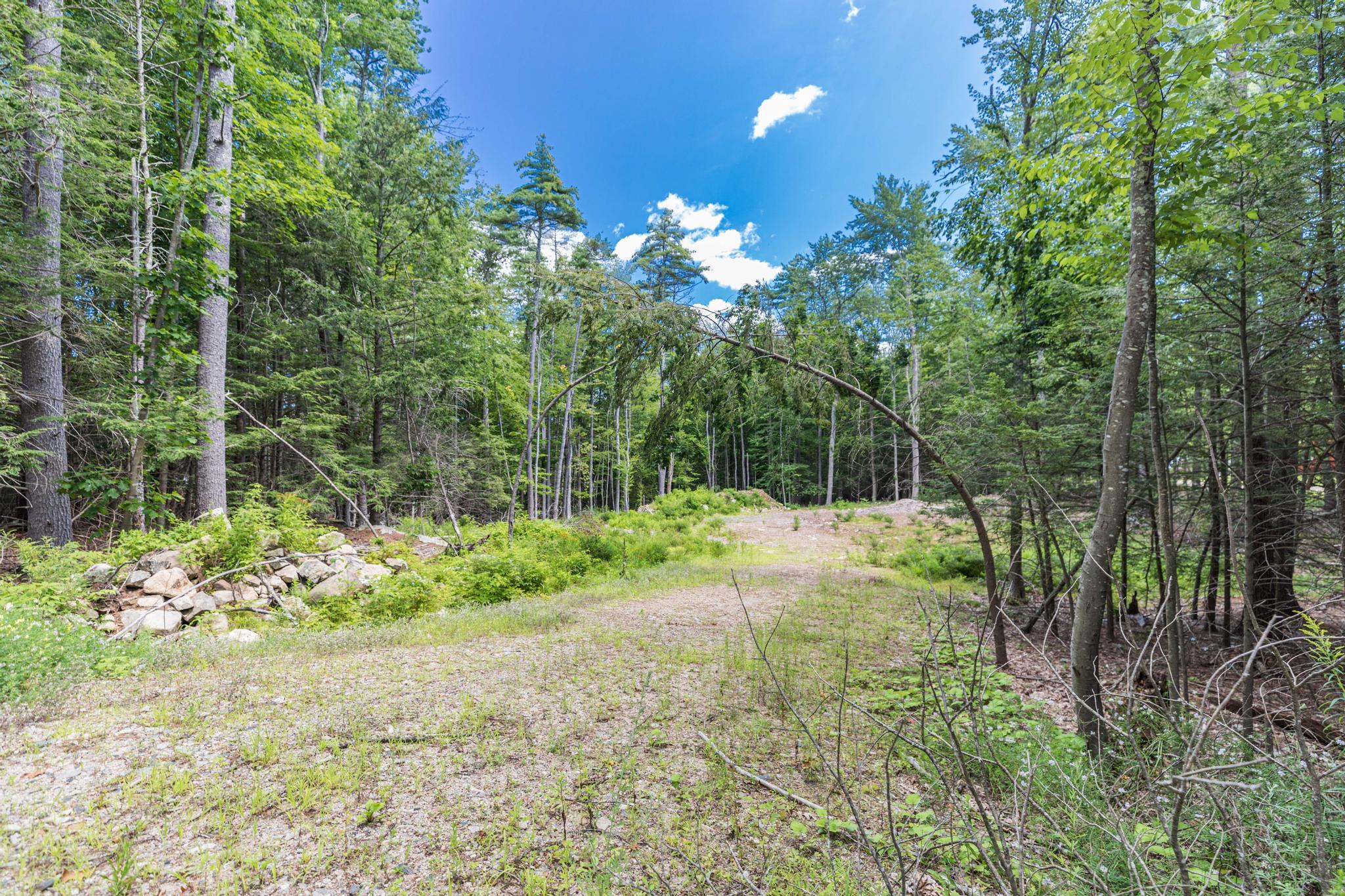 Lot 1 Brixham (stonecrop Farm Lot 1) Road Property Photo 8