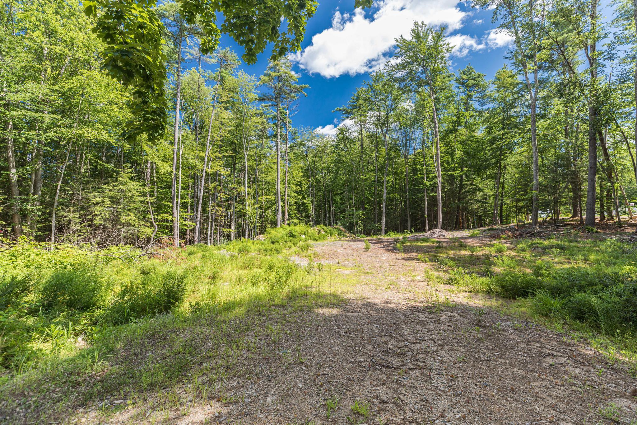 Lot 1 Brixham (stonecrop Farm Lot 1) Road Property Photo 12