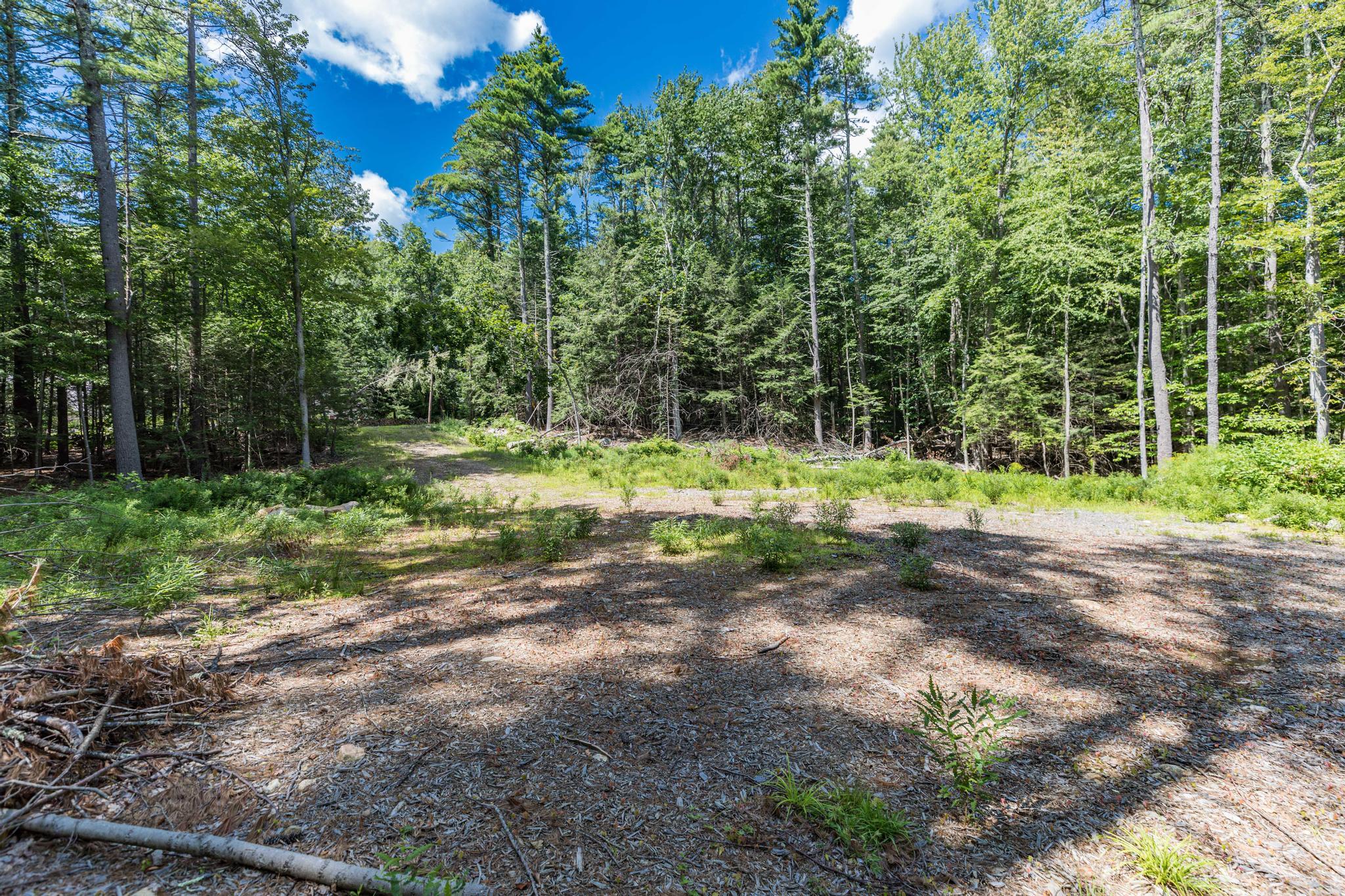 Lot 1 Brixham (stonecrop Farm Lot 1) Road Property Photo 14