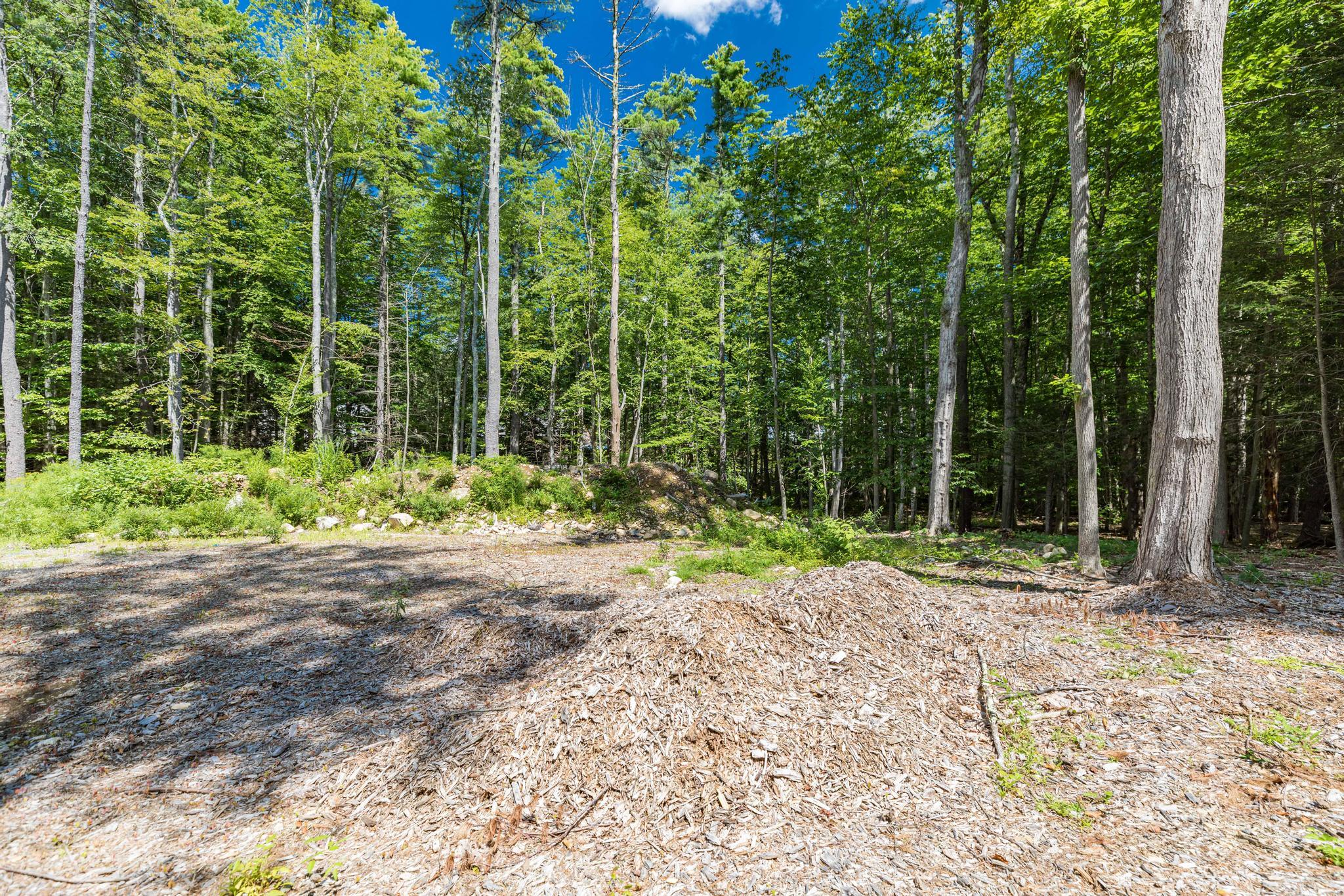 Lot 1 Brixham (stonecrop Farm Lot 1) Road Property Photo 16