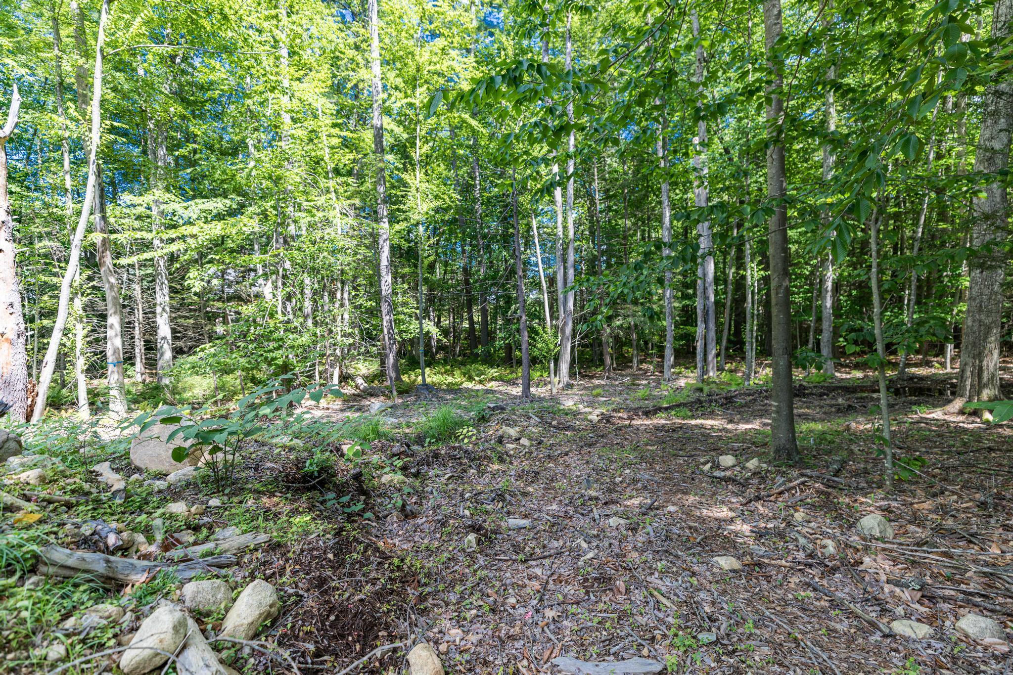 Lot 1 Brixham (stonecrop Farm Lot 1) Road Property Photo 19
