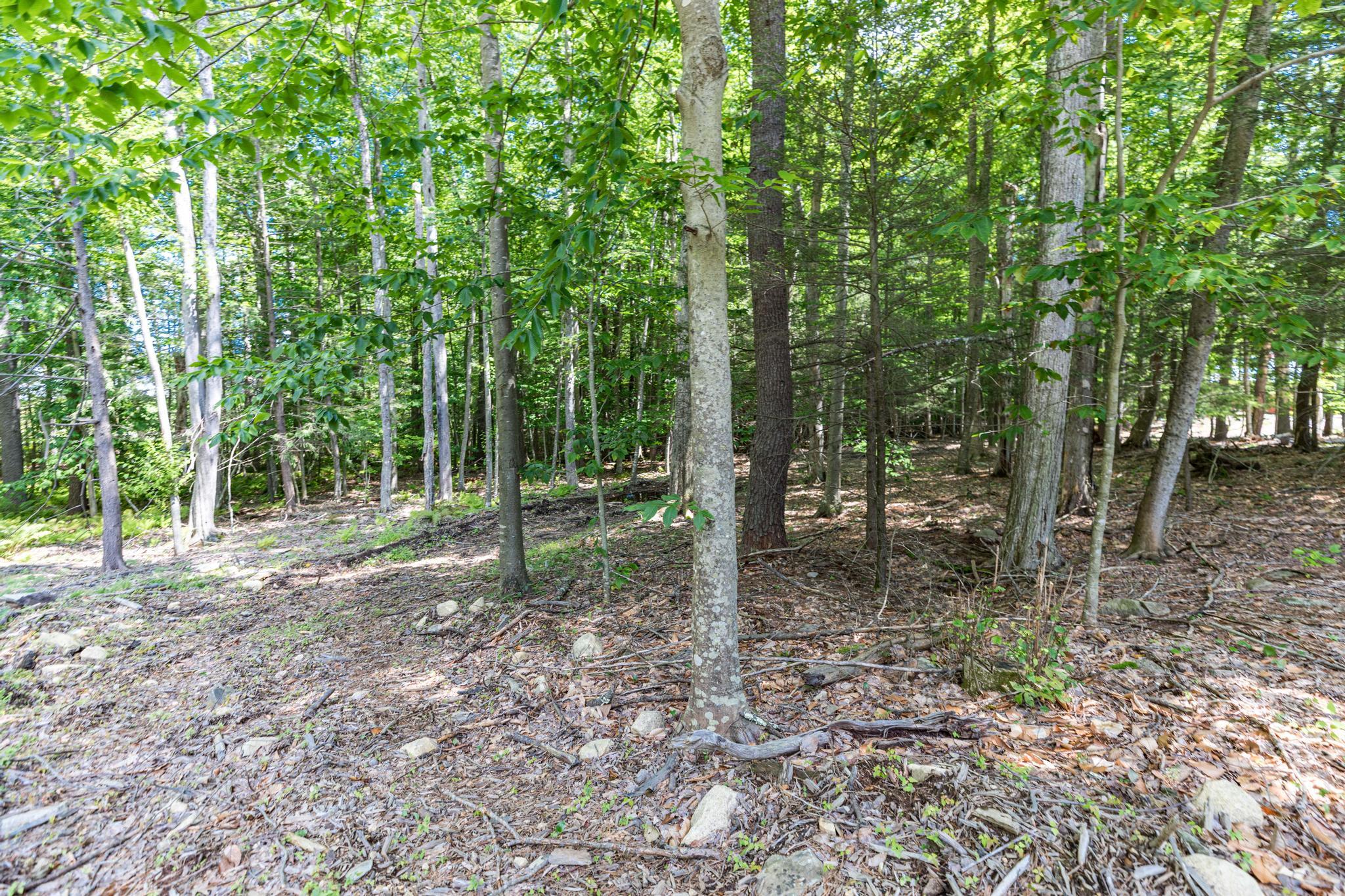Lot 1 Brixham (stonecrop Farm Lot 1) Road Property Photo 20