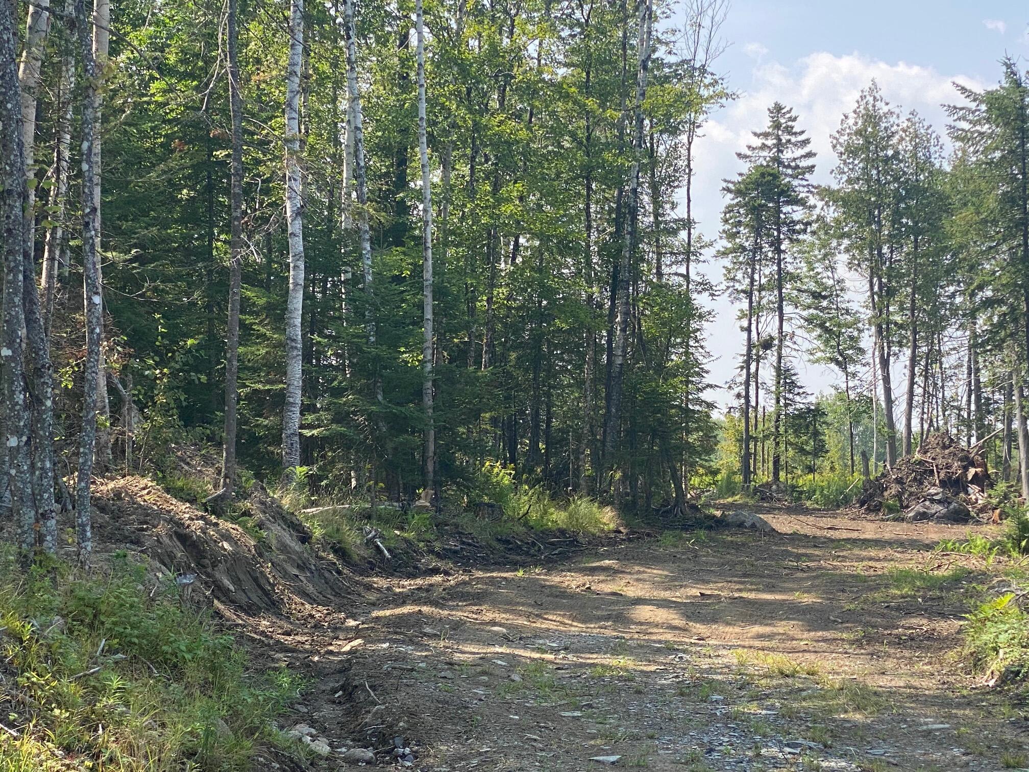 7 Tumbledown Lane Property Photo 1