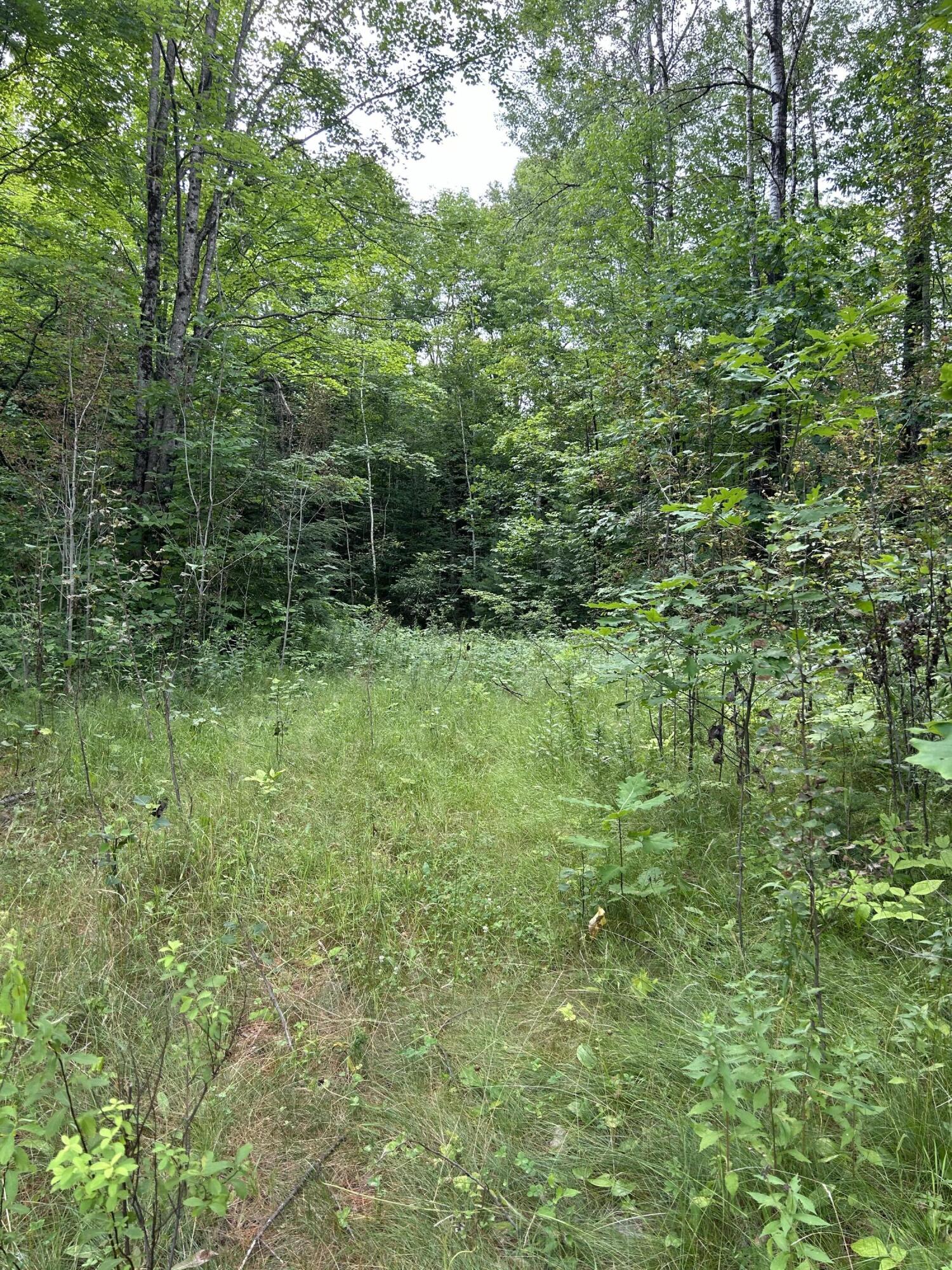 M5l18 Bog Road Property Photo 1