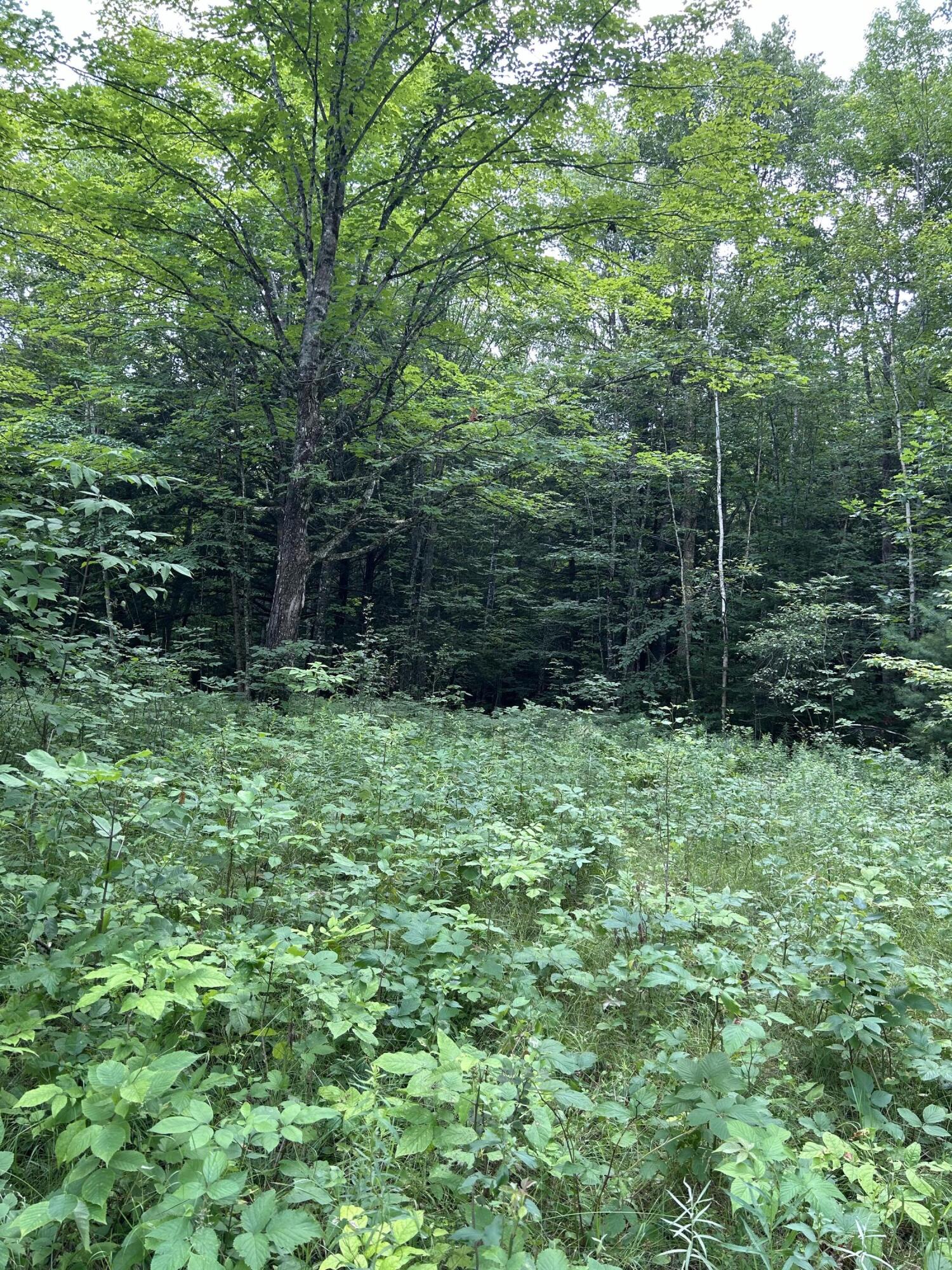 M5l18 Bog Road Property Photo 2