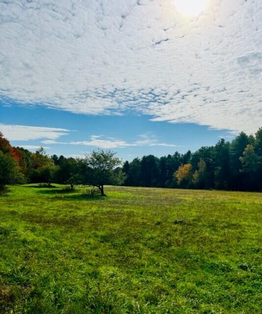 Lot #10 Halcyon Drive Property Photo 24