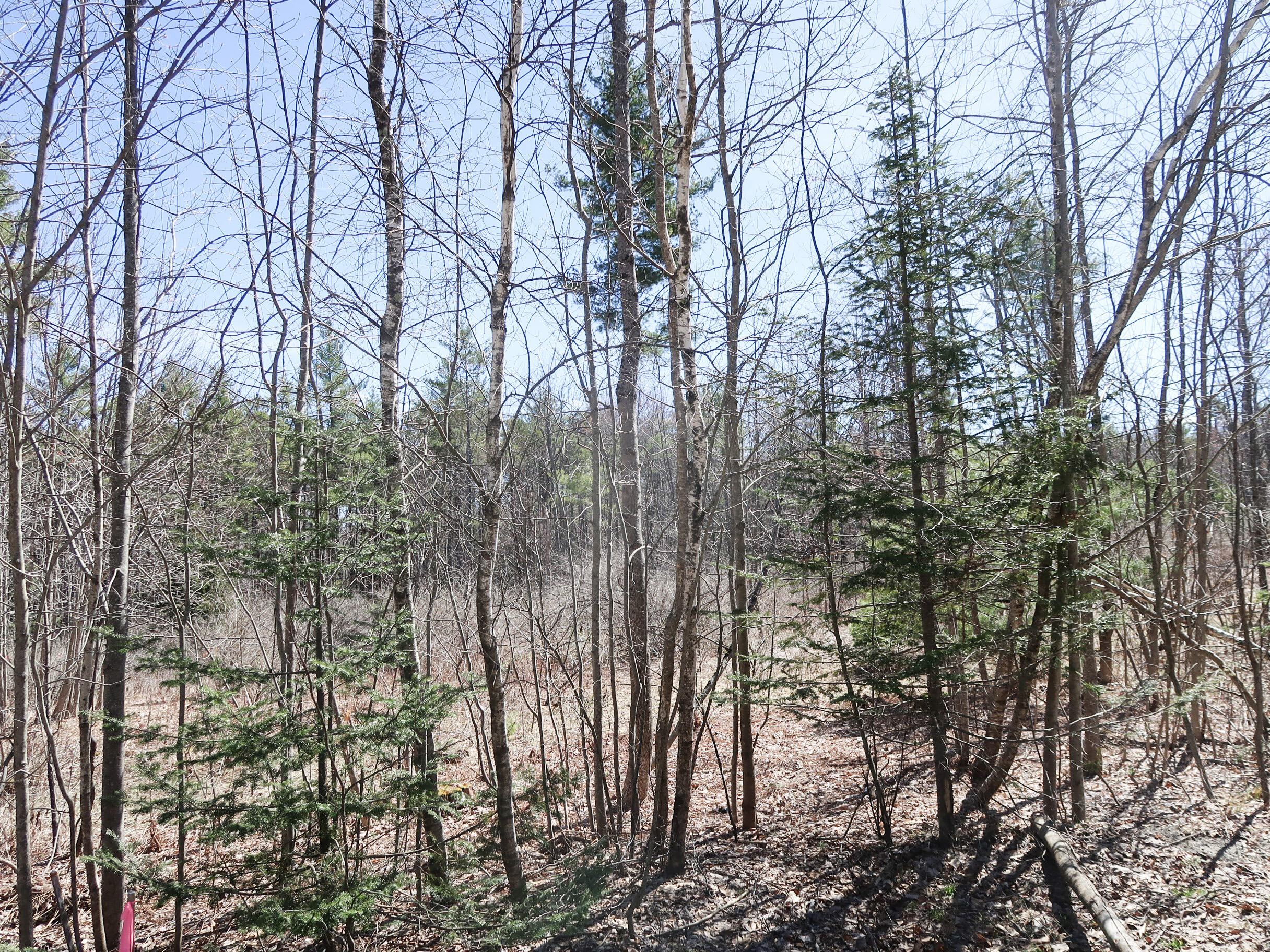 Lot #5 Sturtevant Hill Road Property Photo 1