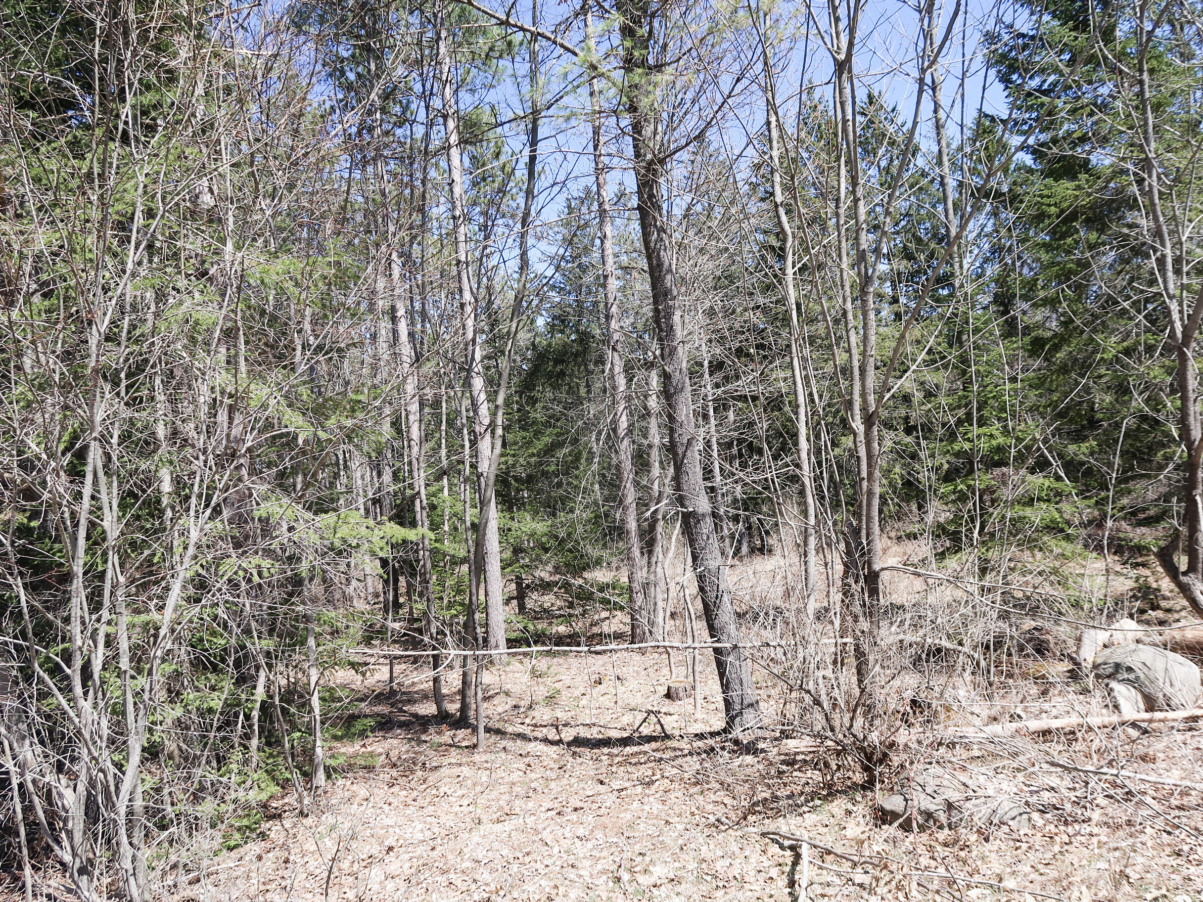 Lot #5 Sturtevant Hill Road Property Photo 2