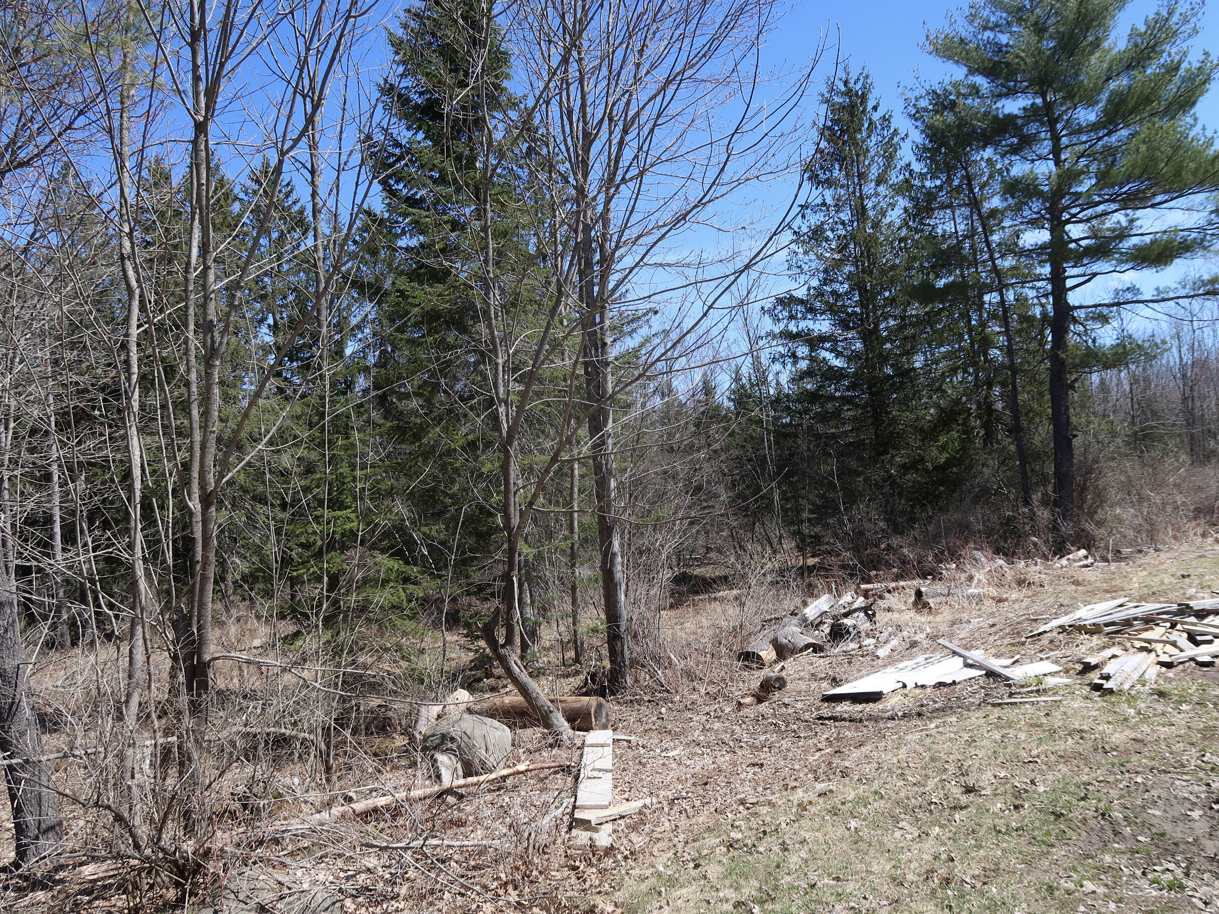 Lot #5 Sturtevant Hill Road Property Photo 8