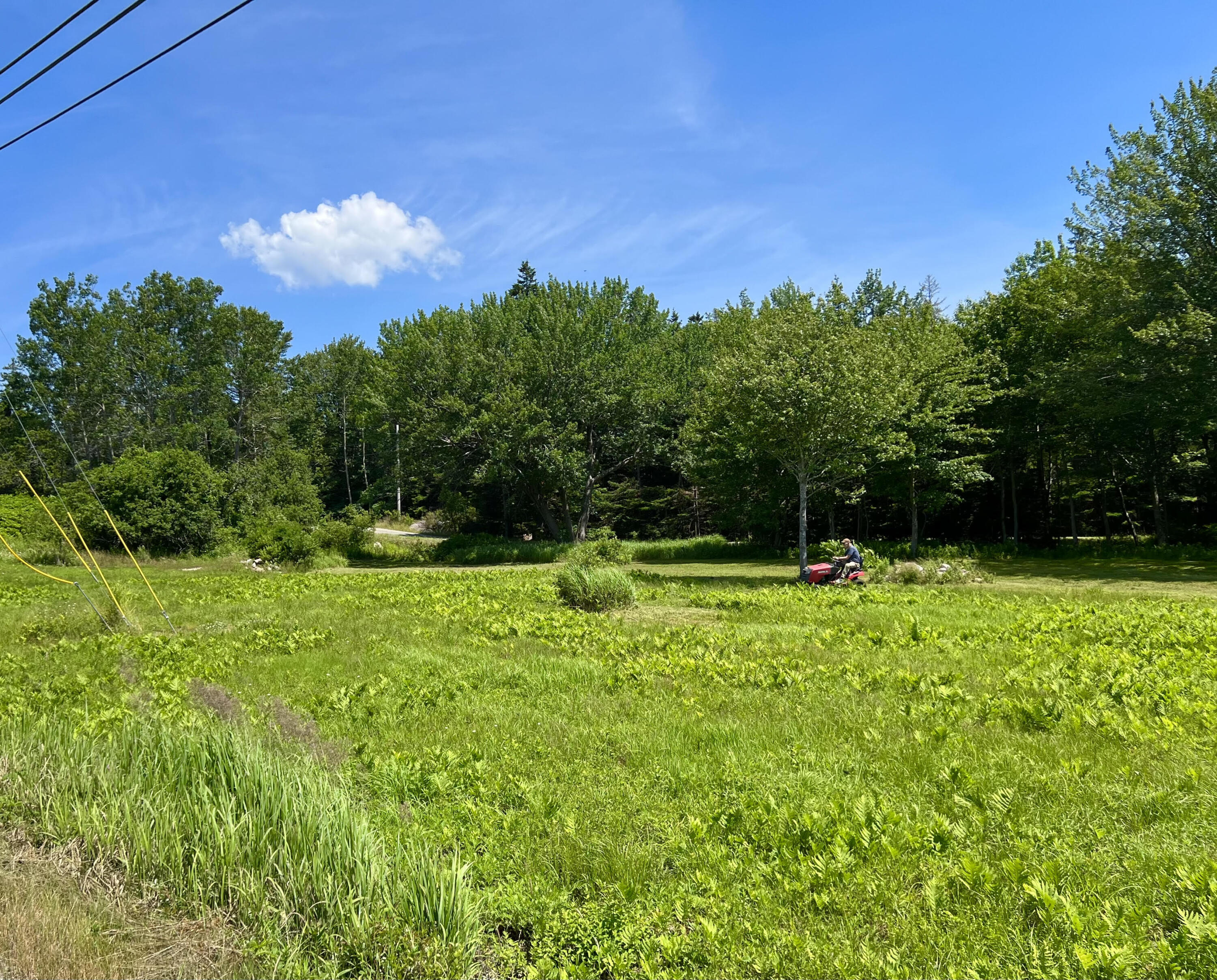 821 Tremont Road Property Photo 6