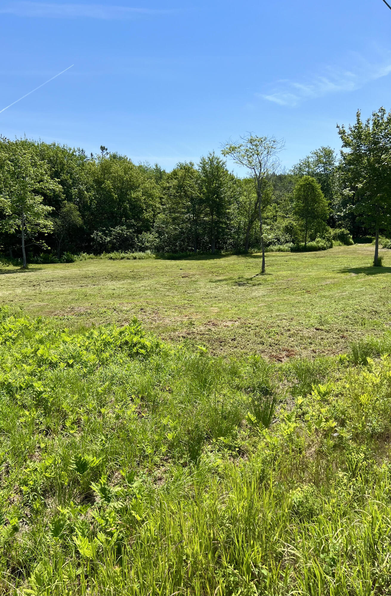 821 Tremont Road Property Photo 7