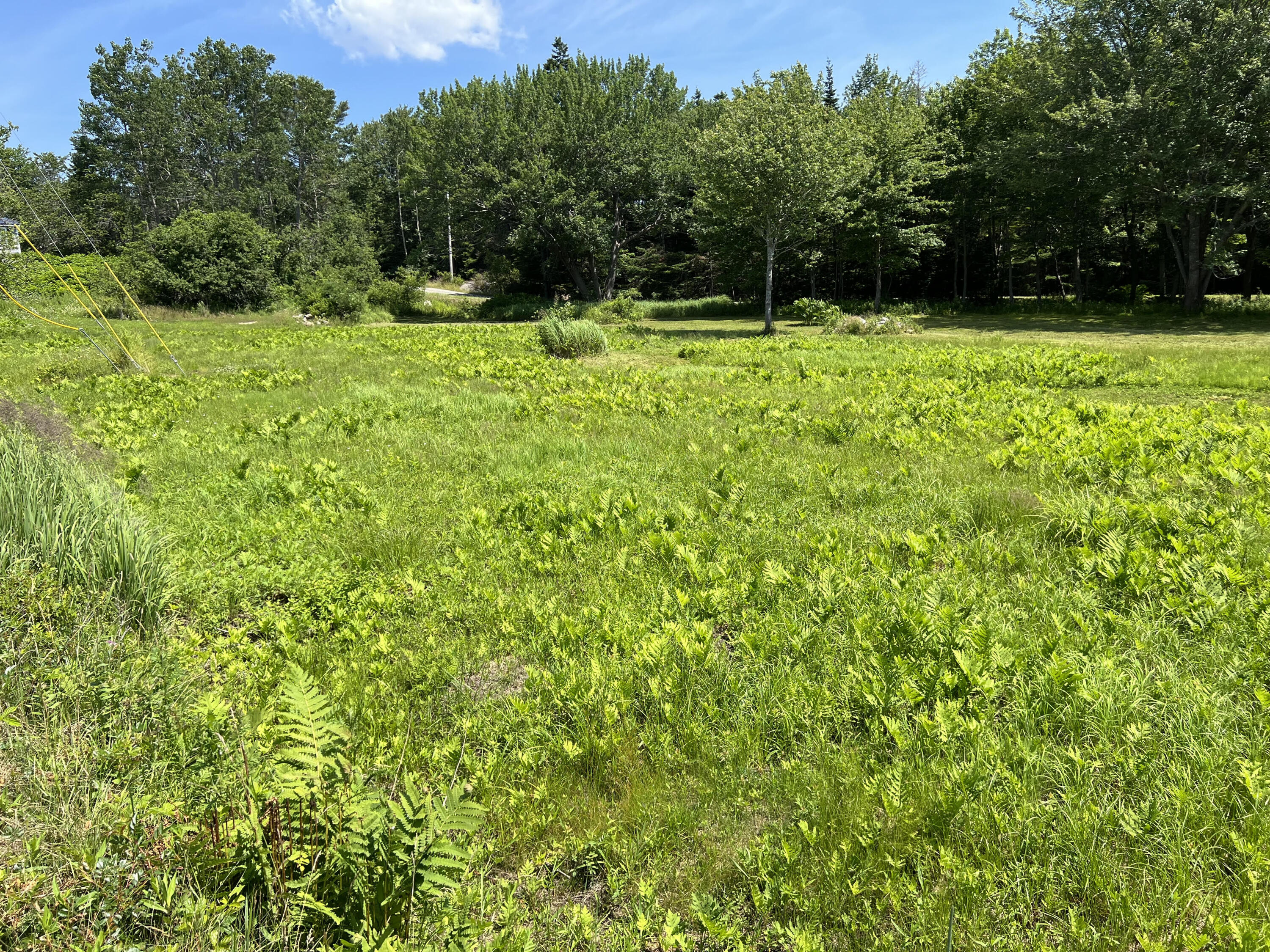 821 Tremont Road Property Photo 8