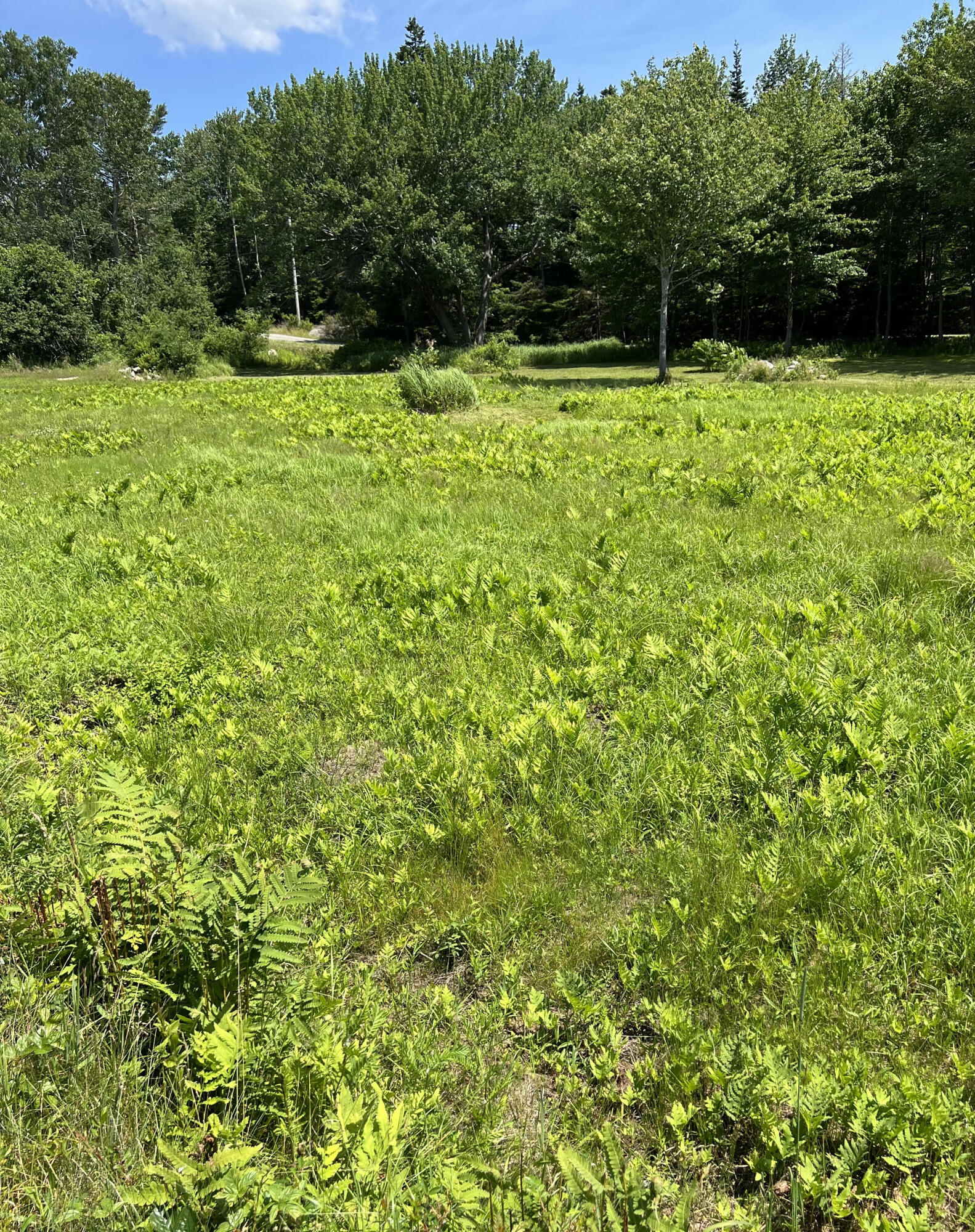 821 Tremont Road Property Photo 10