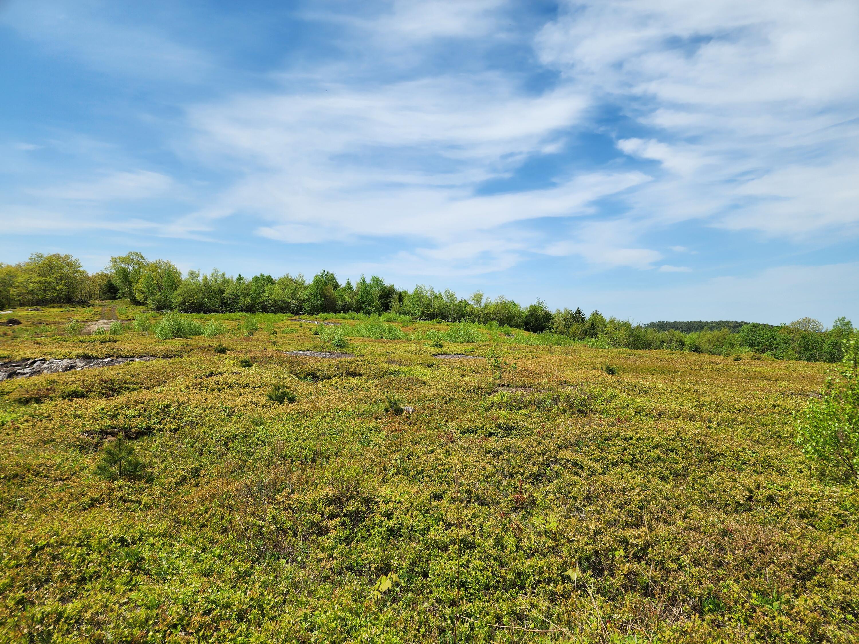 3 Whispering Berries Hill Property Photo 13