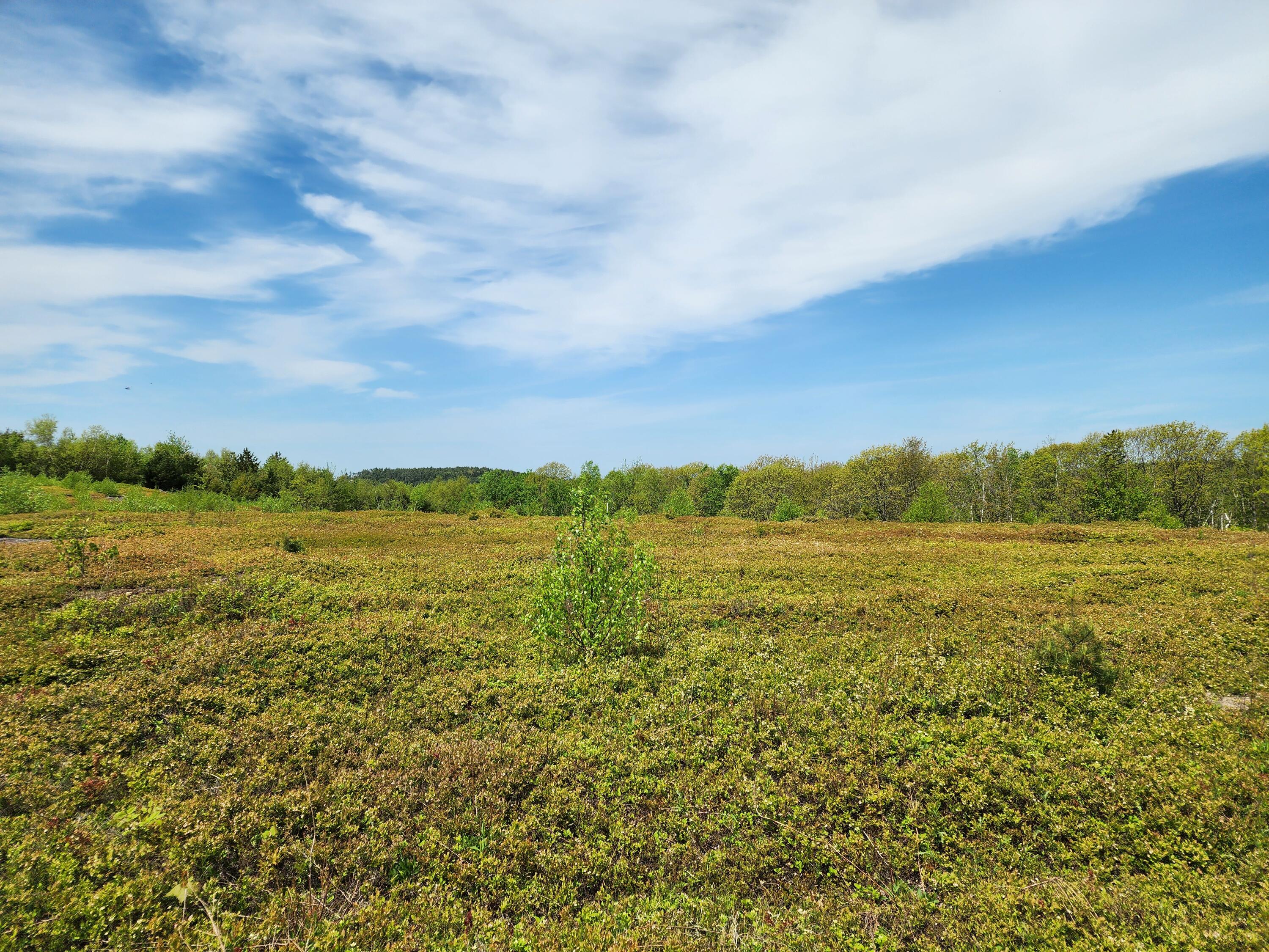3 Whispering Berries Hill Property Photo 14