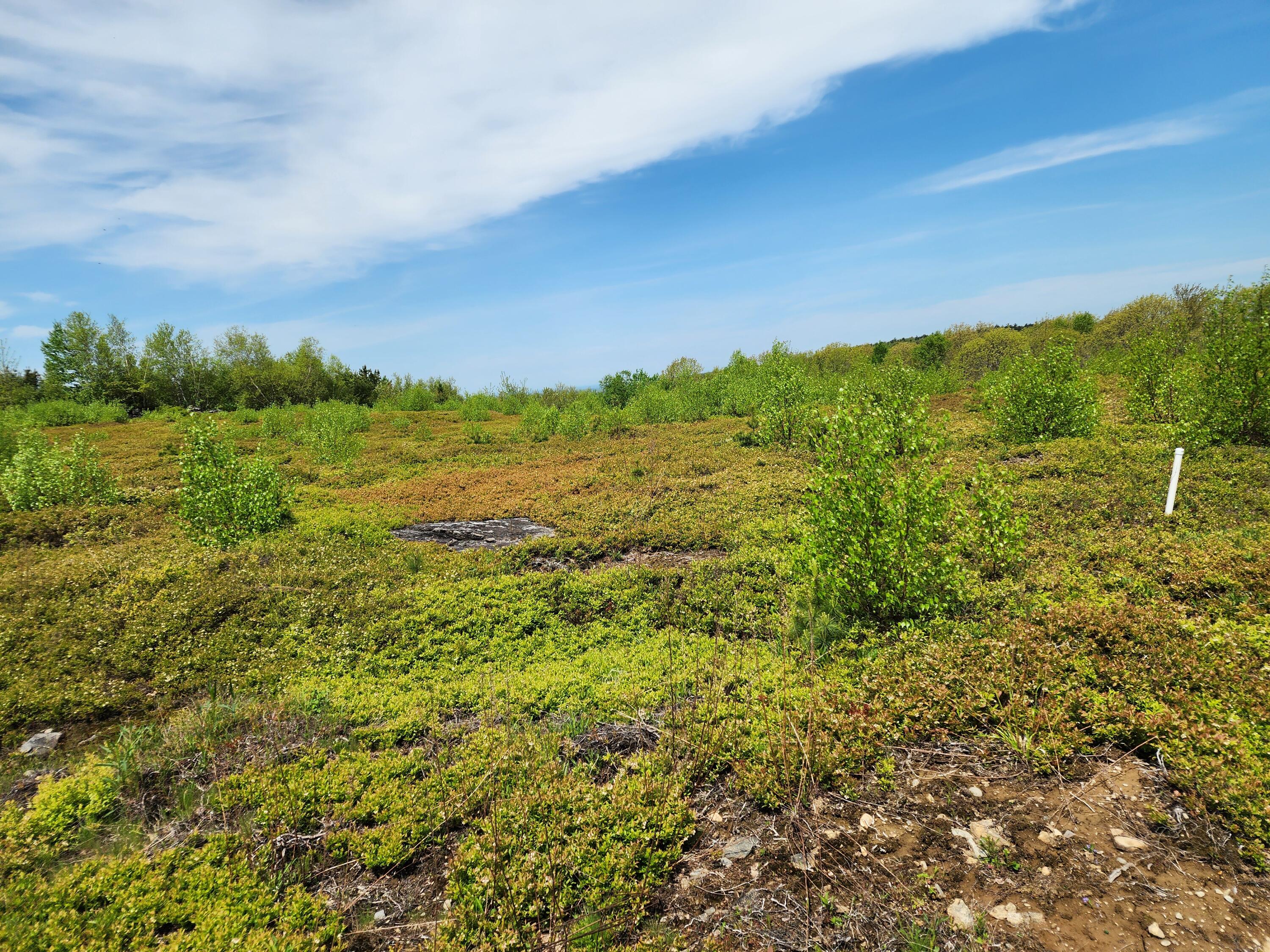 3 Whispering Berries Hill Property Photo 15