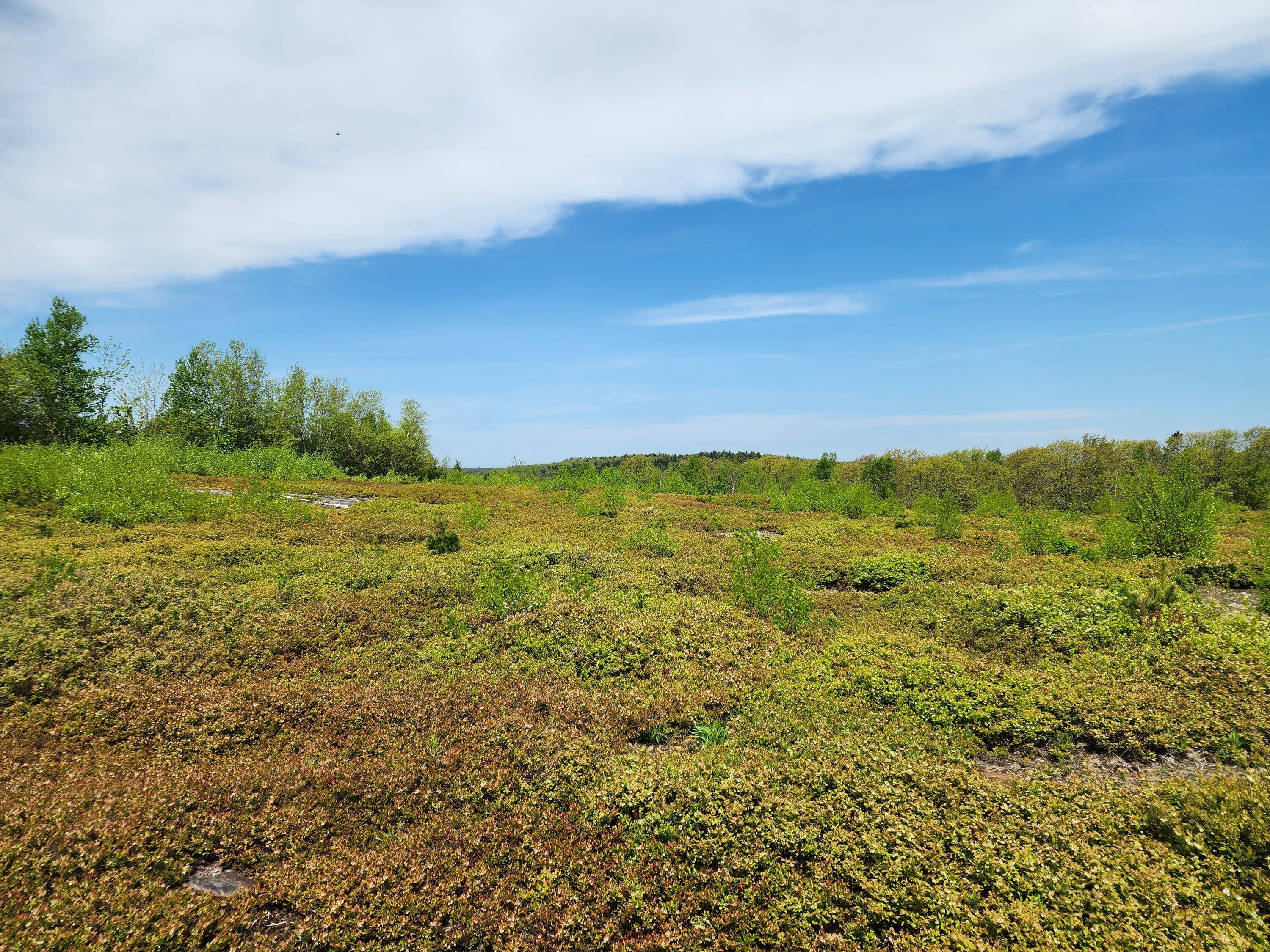 3 Whispering Berries Hill Property Photo 16