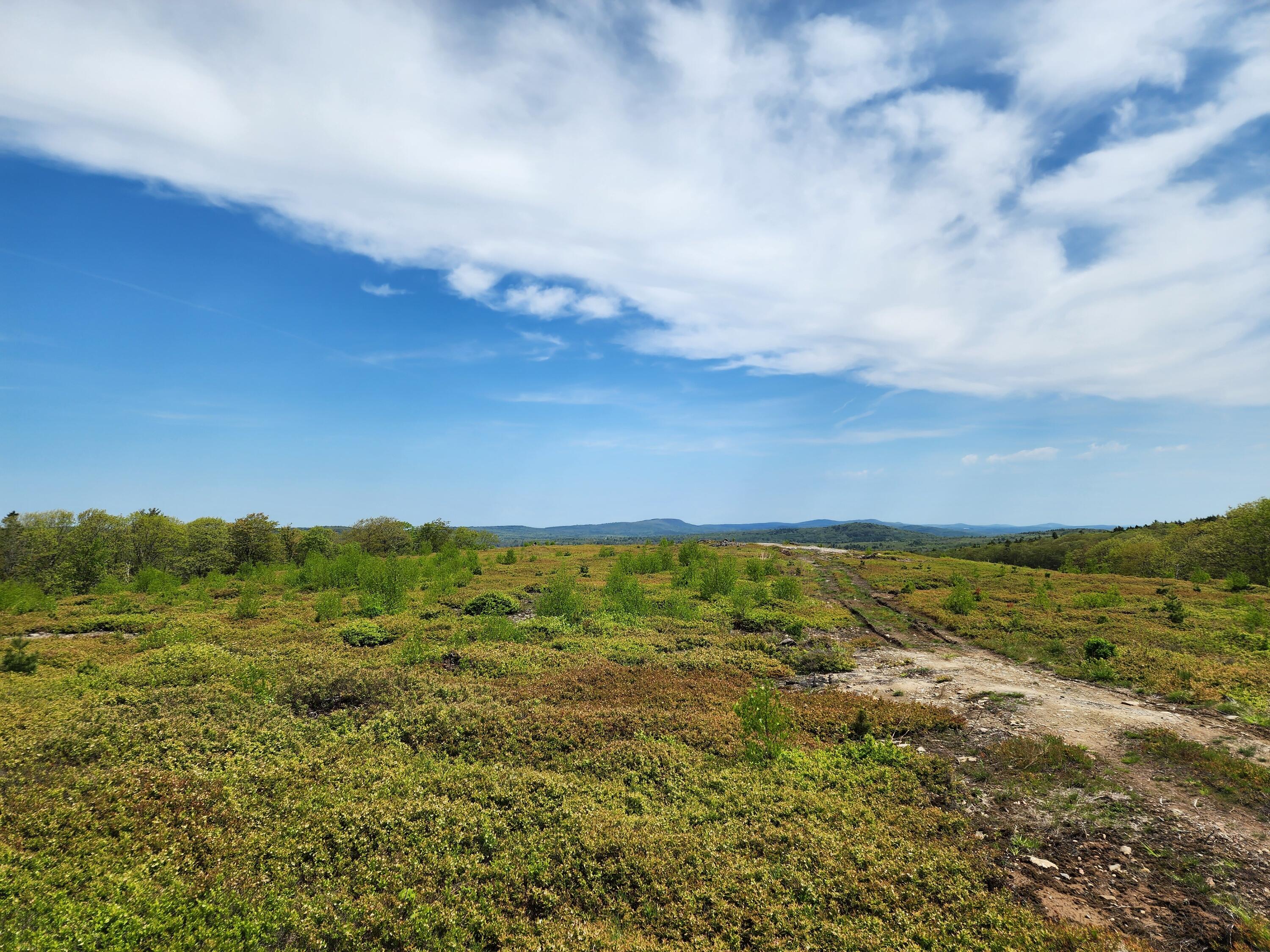 3 Whispering Berries Hill Property Photo 18