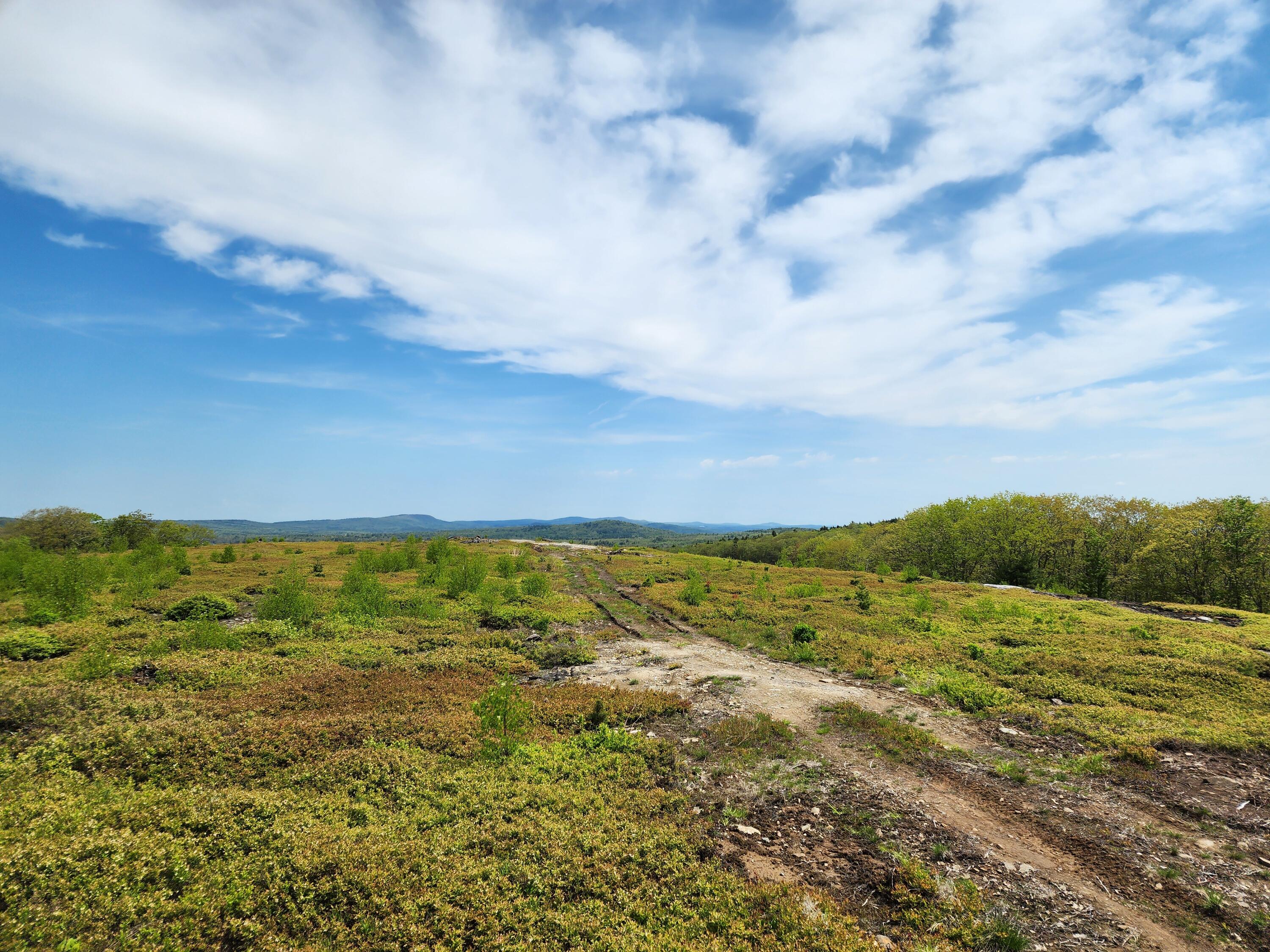3 Whispering Berries Hill Property Photo 19