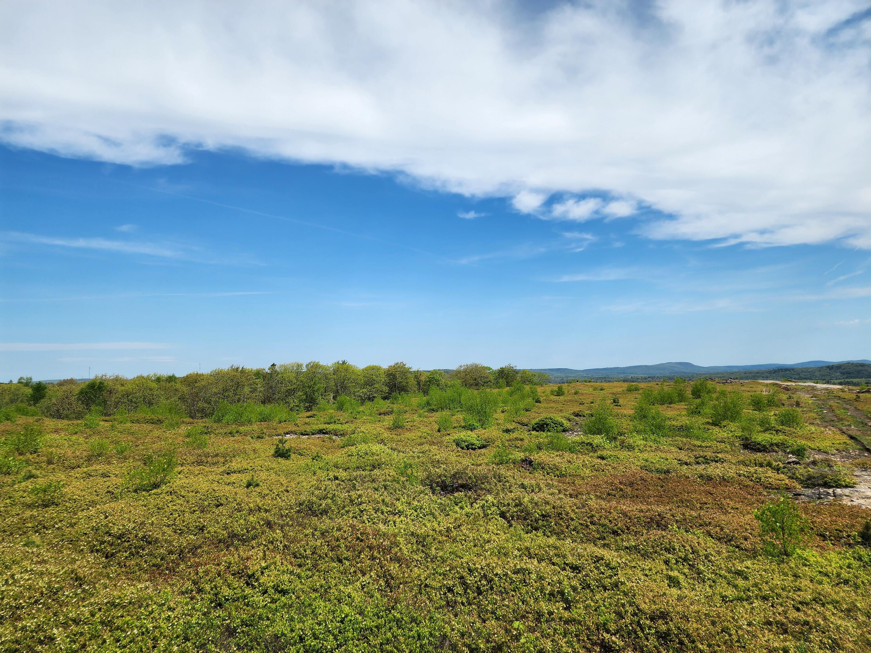 3 Whispering Berries Hill Property Photo 20