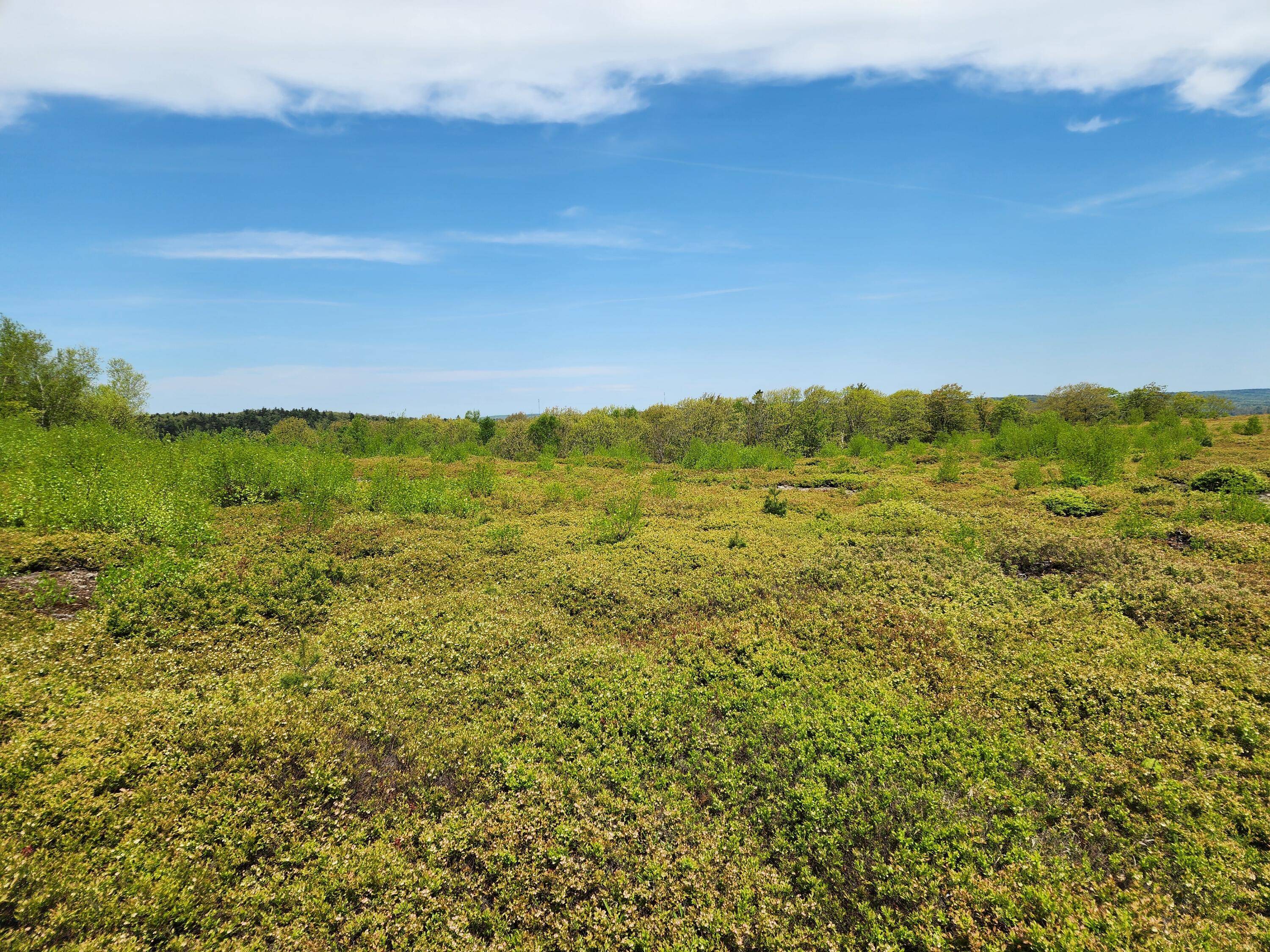 3 Whispering Berries Hill Property Photo 21
