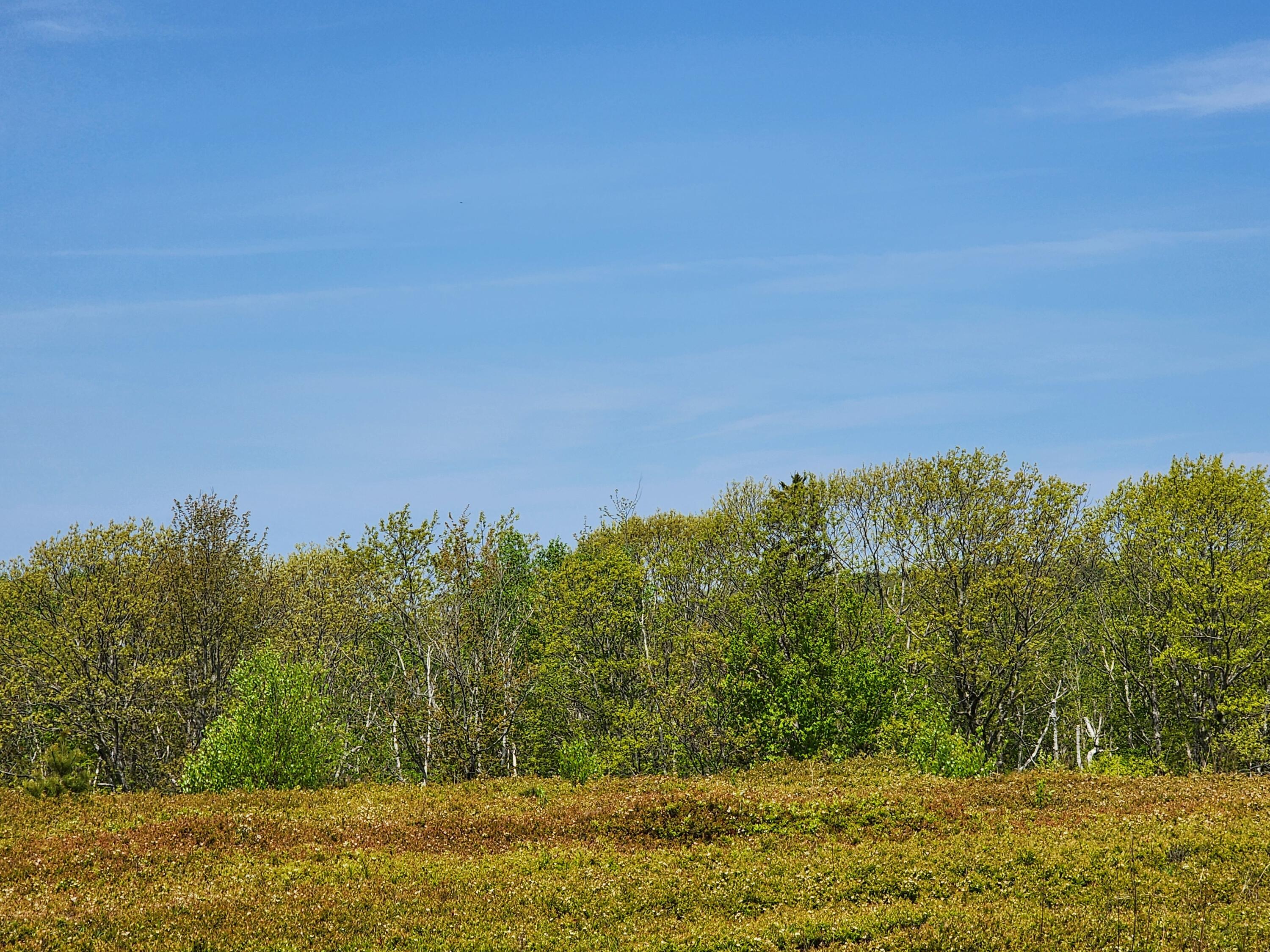 2 Whispering Berries Hill Property Photo 18