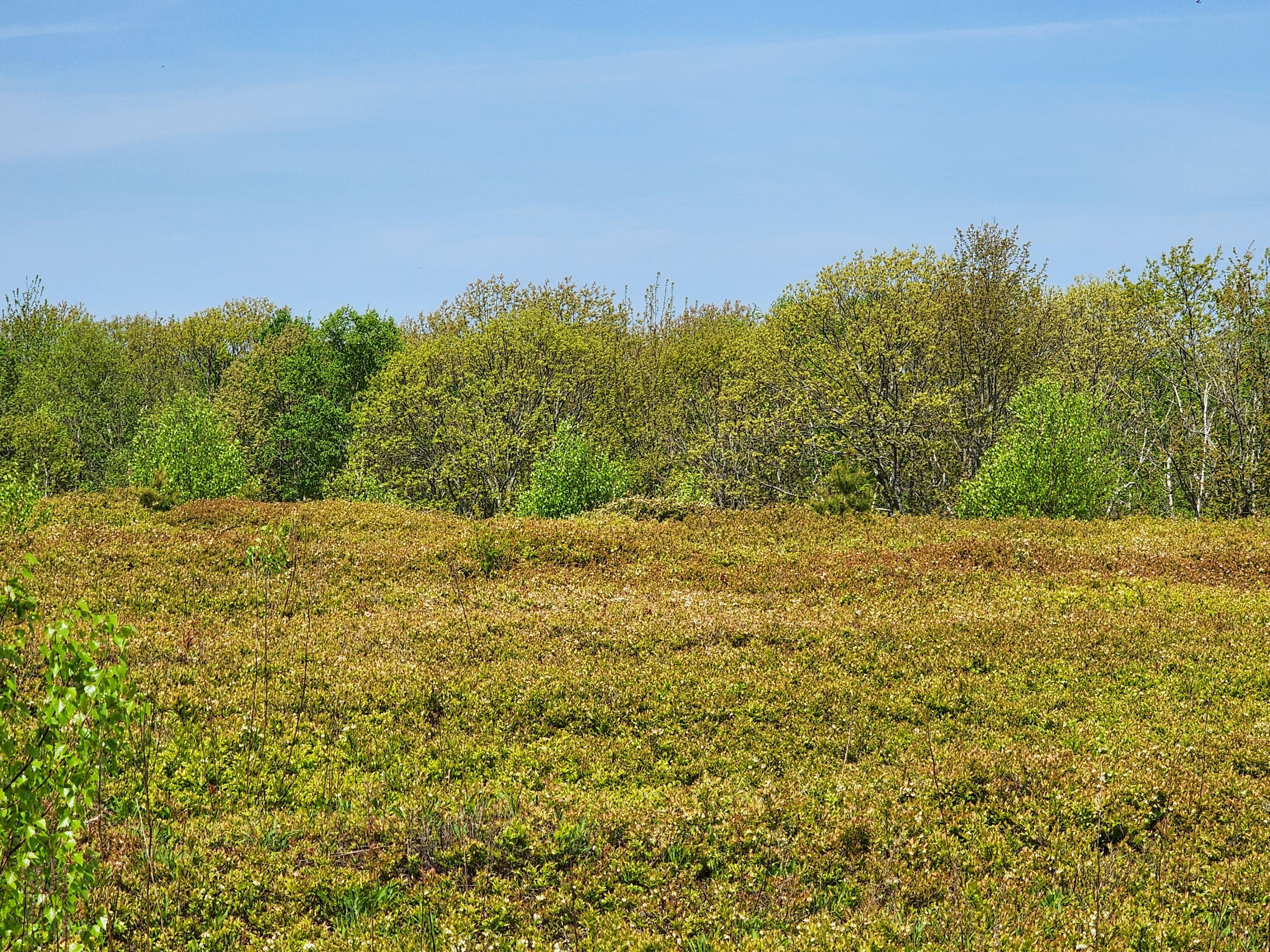 2 Whispering Berries Hill Property Photo 19