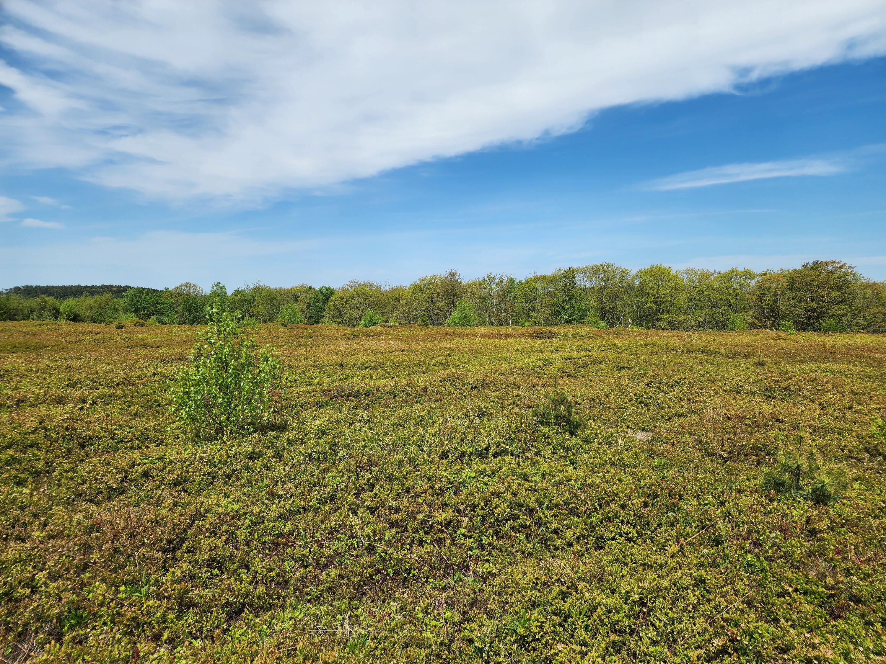 2 Whispering Berries Hill Property Photo 20