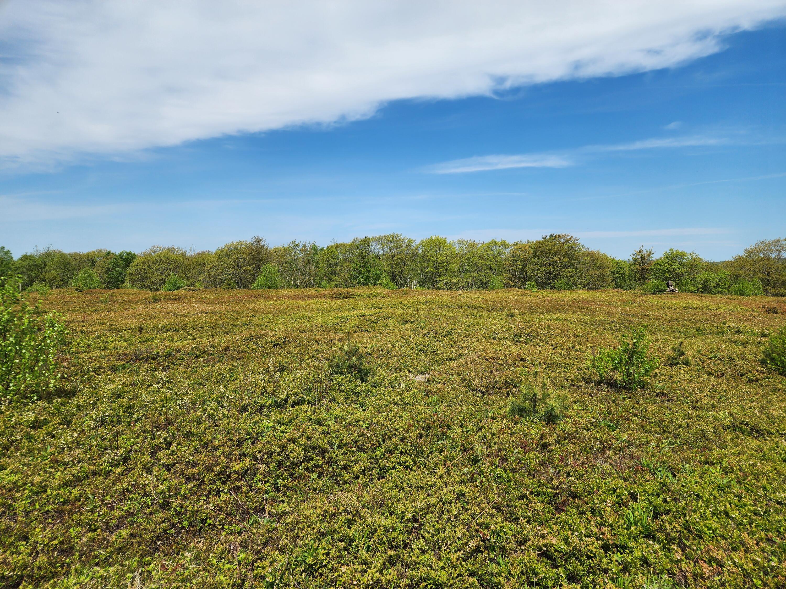 2 Whispering Berries Hill Property Photo 21