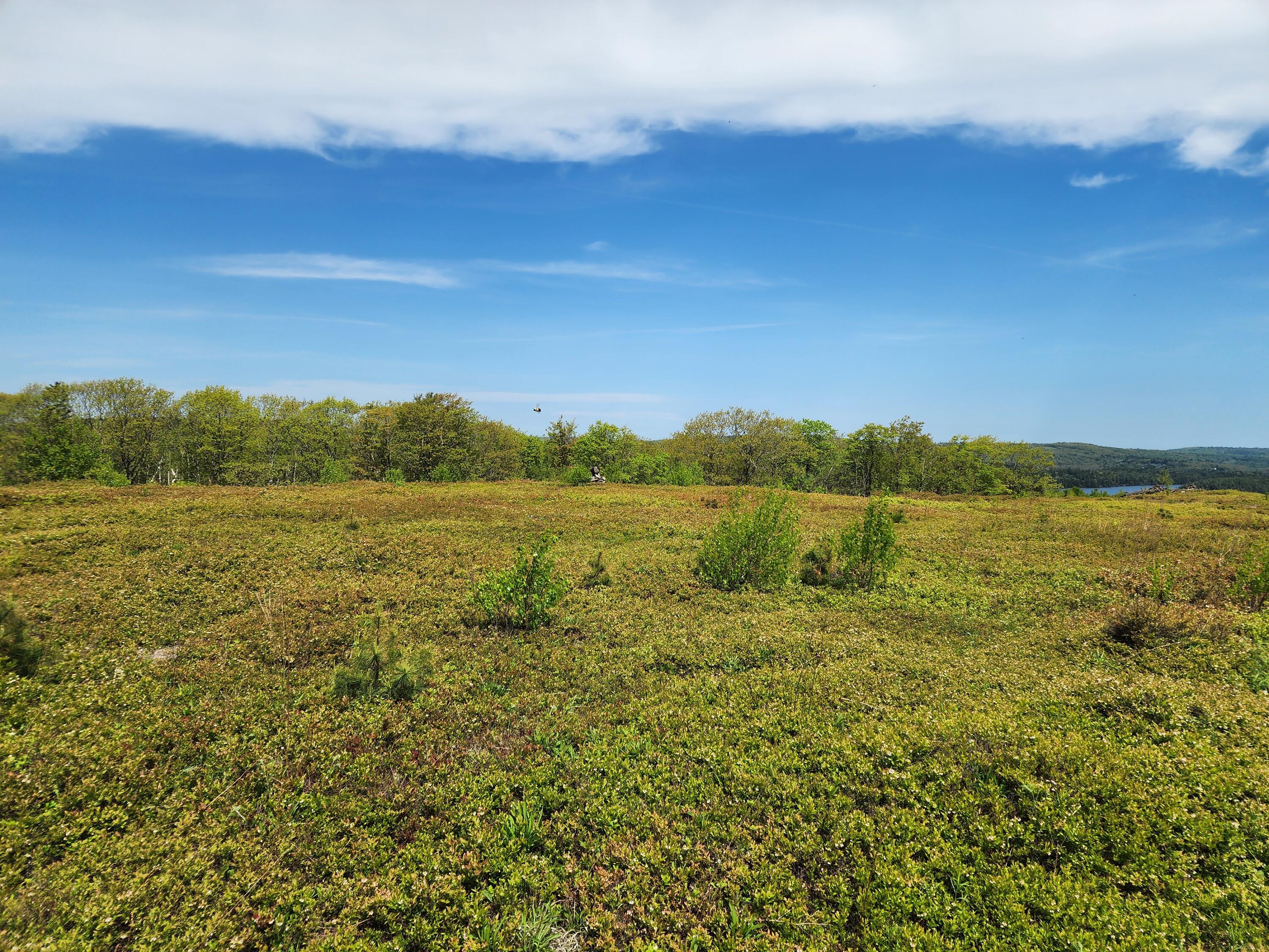 2 Whispering Berries Hill Property Photo 22