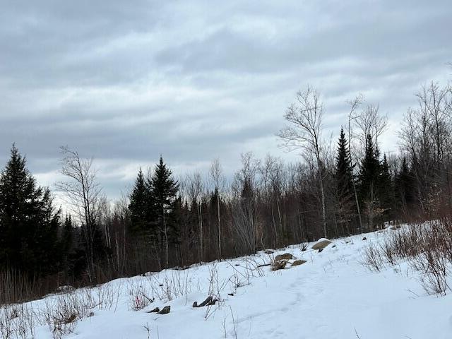 8 High Ground Road Property Photo 9