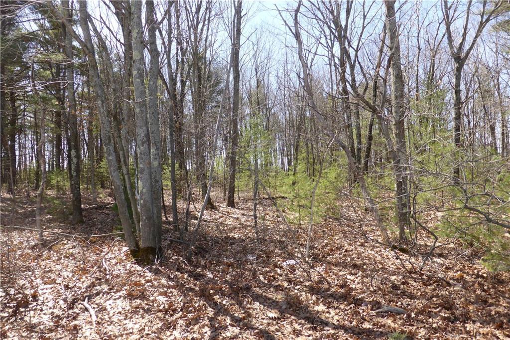 Lot 1c Main Street / Rte 109 Property Photo 1