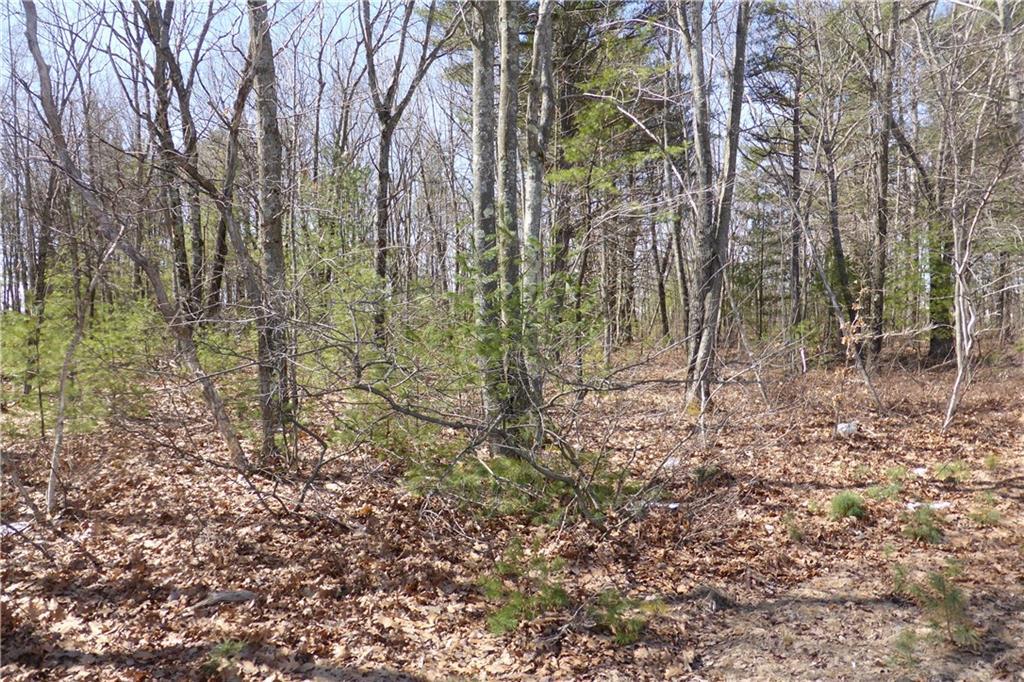 Lot 1c Main Street / Rte 109 Property Photo 3