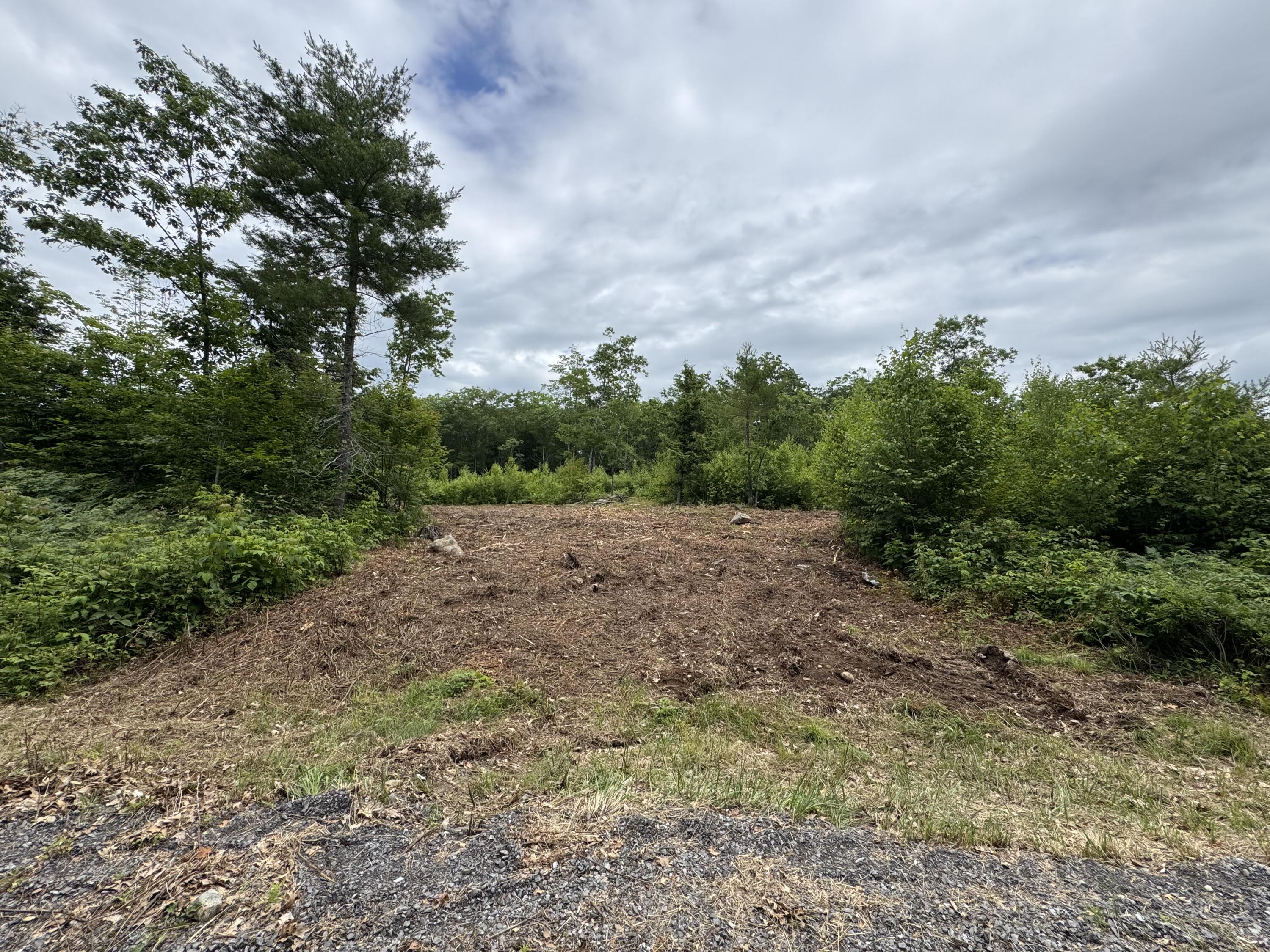Lot 5 Cobbo Lane Property Photo 1
