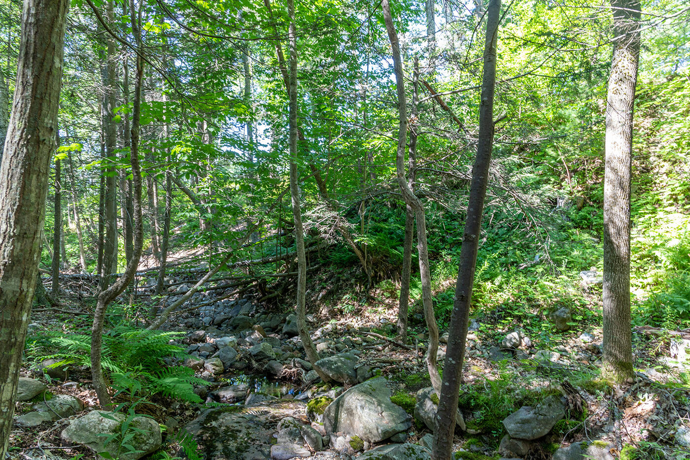 00 Mountain Arrow Drive Property Photo 4