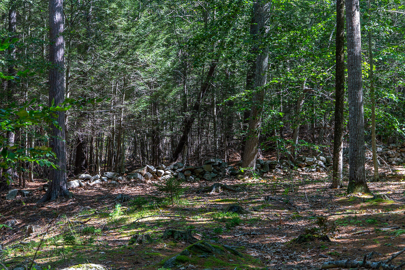 00 Mountain Arrow Drive Property Photo 7