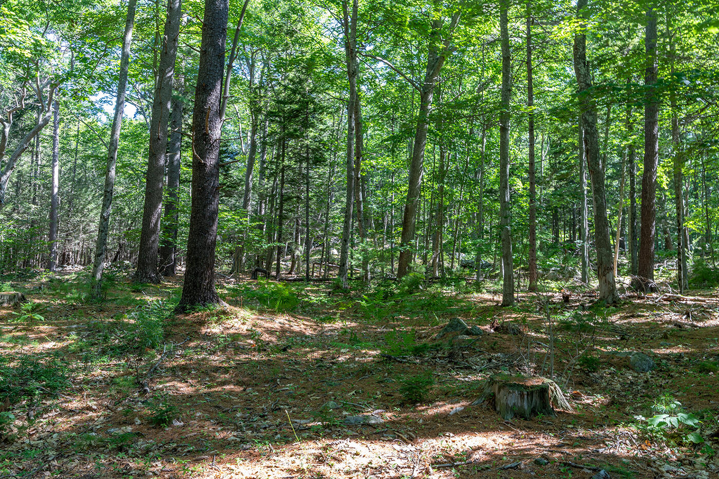 00 Mountain Arrow Drive Property Photo 10